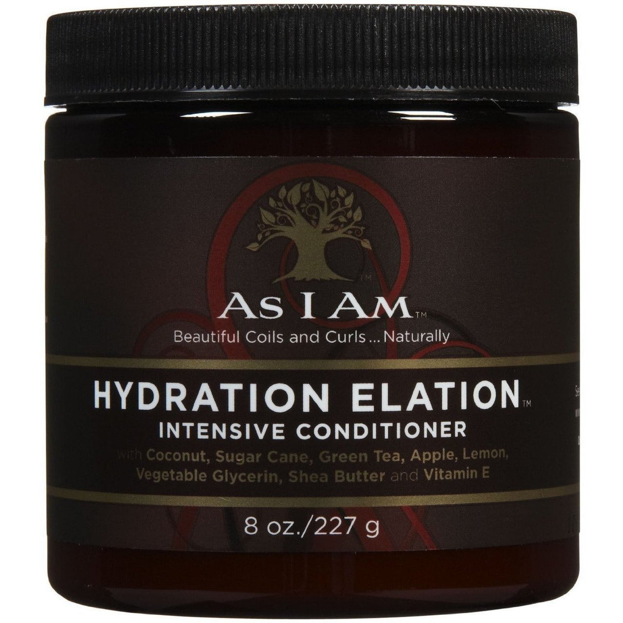 Diaytar Côte d'Ivoire As I Am Hydratation Elation 8 oz Hair Care