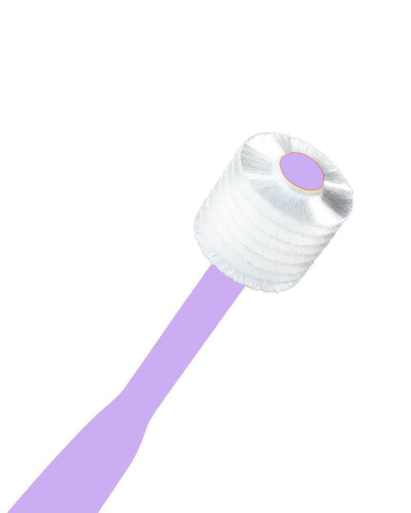 Diaytar Côte d'Ivoire brosse à dents brilliant violet 2-5ans - default title brilliant,brosse-a-dents,fille,garcon,hygiene,hygiene-et-soin-bebe,puericulture