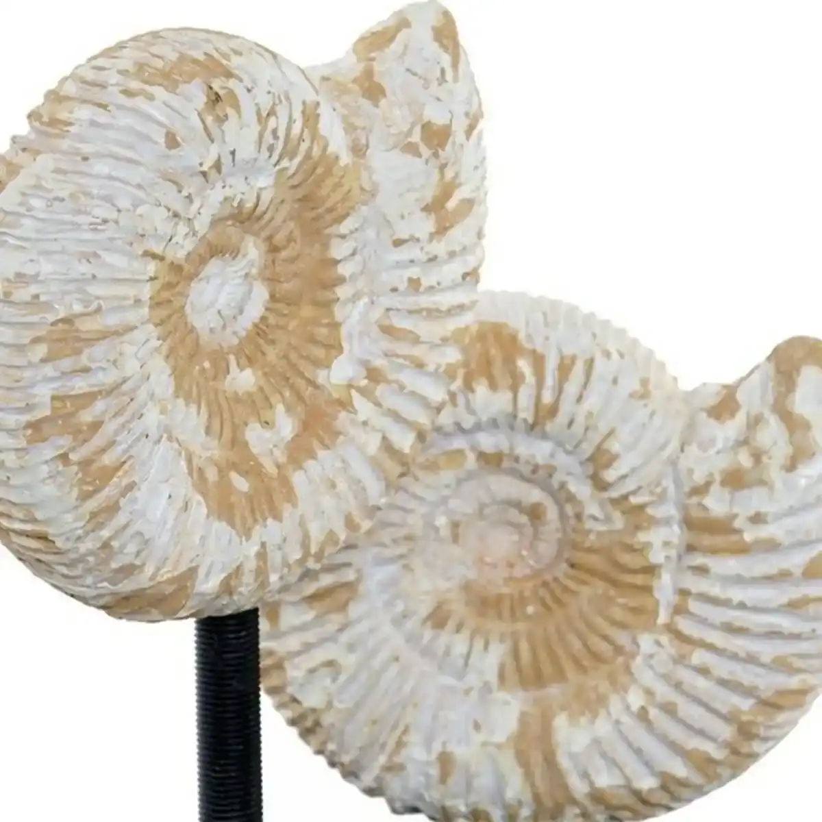 Figurine decorative dkd home decor resine cristal acier mdf bois 21_5883. Bienvenue sur DIAYTAR COTE D'IVOIRE - Où Choisir est un Voyage Passionnant. Plongez dans notre catalogue et trouvez des produits qui révèlent la diversité et la beauté du Côte d'Ivoire.