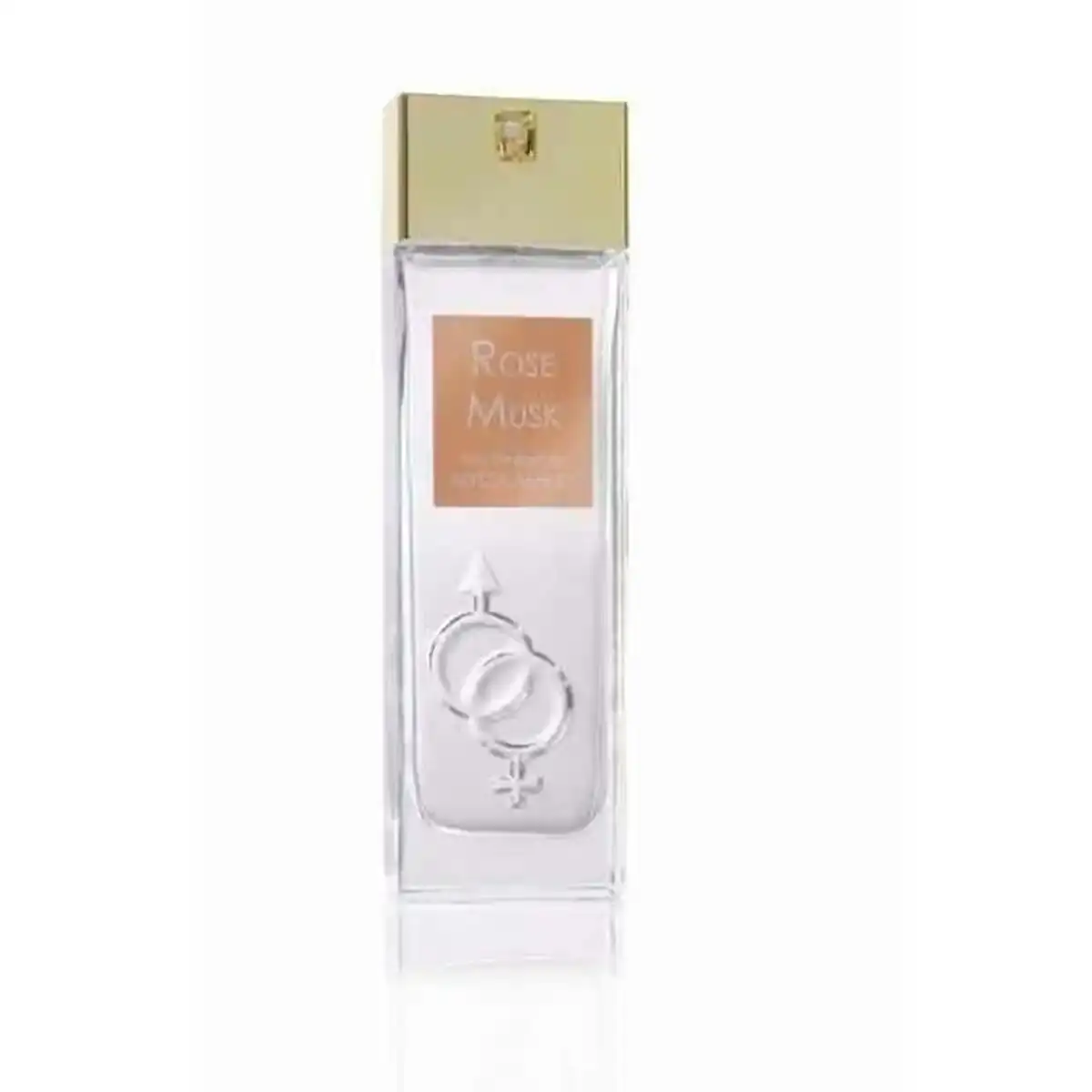 Parfum femme tonka musk alyssa ashley edp_1434. DIAYTAR COTE D'IVOIRE - Là où les Possibilités sont Infinies. Parcourez nos catégories et laissez-vous séduire par des produits qui enrichiront votre quotidien, du pratique à l'esthétique.