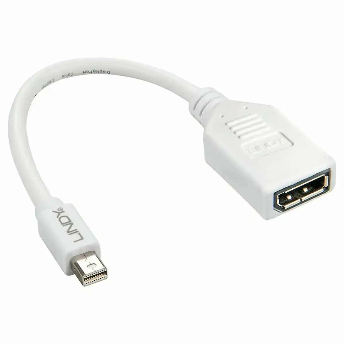 Adaptateur mini displayport vers displayport lindy 41021 blanc_3809. DIAYTAR COTE D'IVOIRE - Où la Tradition Renouvelée Rencontre l'Innovation. Explorez notre gamme de produits qui fusionnent l'héritage culturel avec les besoins contemporains.
