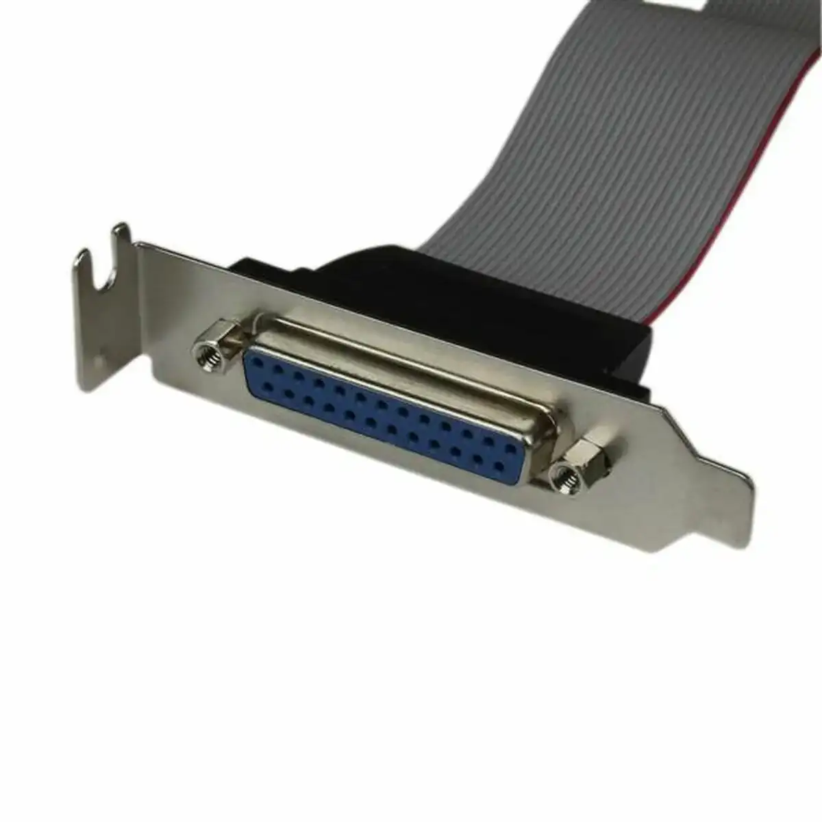 Adaptateur startech plate25f16lp _1698. DIAYTAR COTE D'IVOIRE - L'Art de Vivre en Couleurs et en Styles. Parcourez notre sélection et trouvez des articles qui reflètent votre personnalité et votre goût pour la vie.