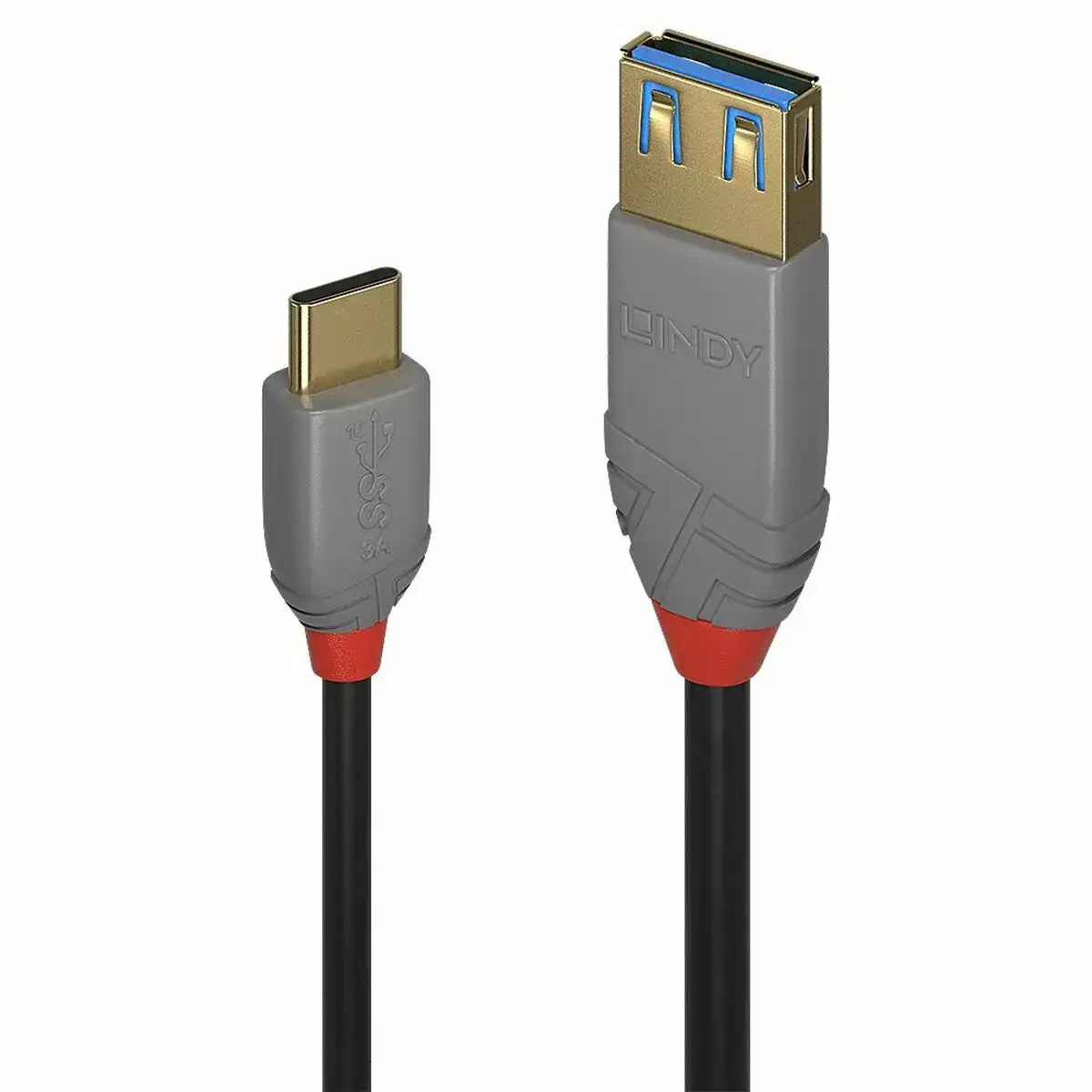 Adaptateur usb c vers displayport lindy 36895 150 cm noir_3726. DIAYTAR COTE D'IVOIRE - Où Choisir Devient une Expérience Personnalisée. Explorez notre boutique en ligne pour découvrir des produits qui s'adaptent à votre style et à votre essence.