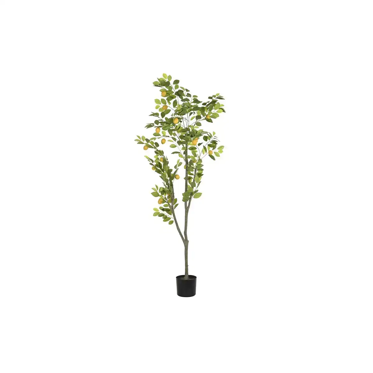 Arbre dkd home decor citronnier polyester polypropylene 90 x 90 x 180 cm _2526. Bienvenue sur DIAYTAR COTE D'IVOIRE - Où l'Élégance Rencontrer la Tradition. Explorez notre gamme variée et trouvez des articles qui marient le chic moderne au charme ancestral.
