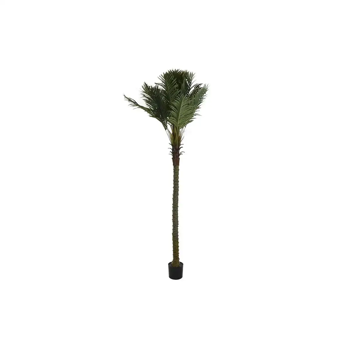 Arbre dkd home decor palmier polyester polypropylene 100 x 100 x 250 cm _4645. DIAYTAR COTE D'IVOIRE - Votre Destination pour un Shopping Réfléchi. Découvrez notre gamme variée et choisissez des produits qui correspondent à vos valeurs et à votre style de vie.