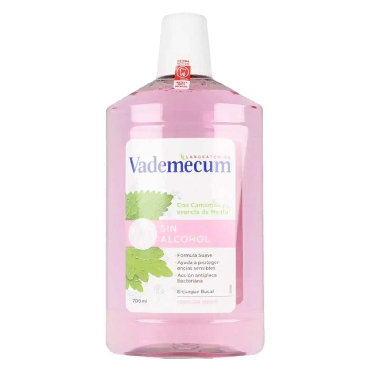 Bain de bouche vademecum enjuague bucal sin alcohol 700 ml_9091. DIAYTAR COTE D'IVOIRE - Votre Marché Virtuel au Côte d'Ivoire. Parcourez notre boutique en ligne pour trouver des trésors cachés, des articles indispensables du quotidien aux joyaux artistiques.