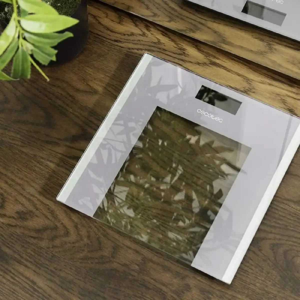 Balance numerique de salle de bain cecotec surface precision healthy 30 x 30 cm _5483. DIAYTAR COTE D'IVOIRE - Où Chaque Détail Compte. Parcourez nos produits soigneusement sélectionnés et choisissez des articles qui correspondent à votre style et à vos valeurs.