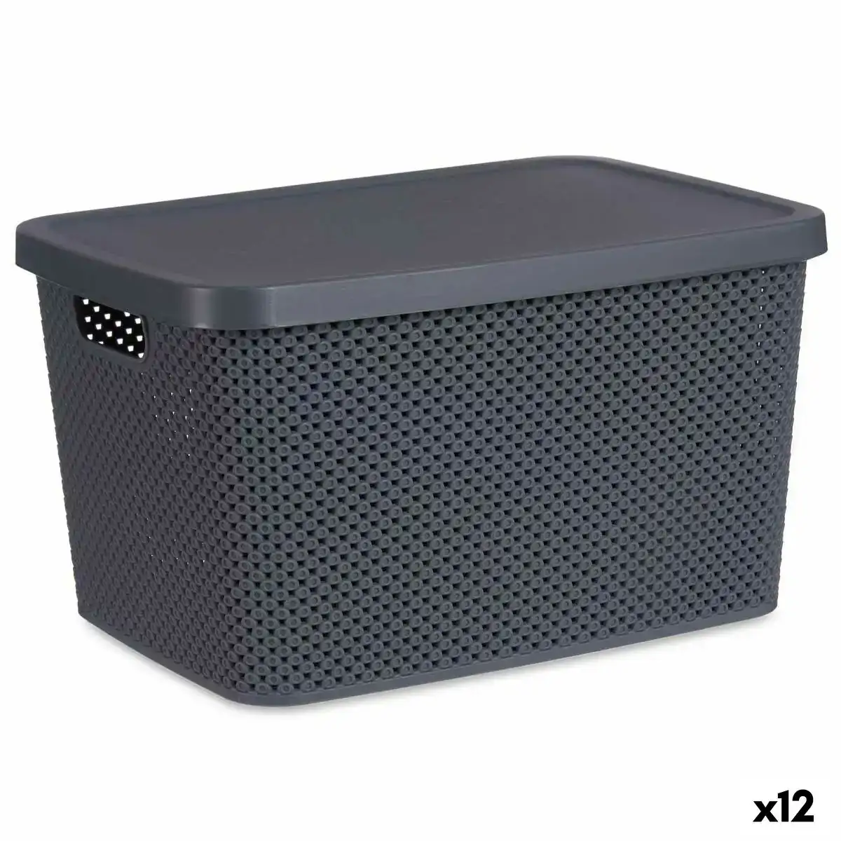 Boite de rangement avec couvercle anthracite plastique 19 l 28 x 22 x 39 cm 12 unites _7092. DIAYTAR COTE D'IVOIRE - L'Art de Magasiner sans Limites. Naviguez à travers notre collection diversifiée pour trouver des produits qui élargiront vos horizons shopping.