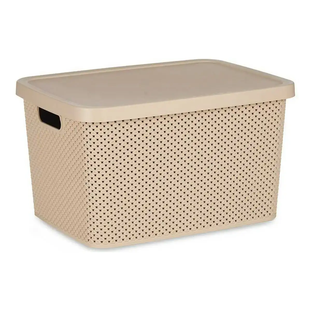 Boite de rangement avec couvercle beige plastique 28 x 22 x 39 cm _9546. DIAYTAR COTE D'IVOIRE - Là où Chaque Achat Contribue à un Rêve. Naviguez à travers notre boutique en ligne et soutenez des artisans talentueux tout en acquérant des trésors.