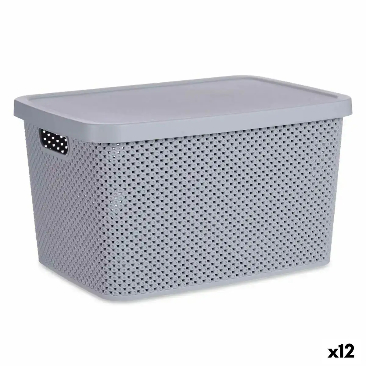 Boite de rangement avec couvercle gris plastique 19 l 28 x 22 x 39 cm 12 unites _2542. DIAYTAR COTE D'IVOIRE - Où Choisir est un Plaisir Responsable. Parcourez notre catalogue et choisissez des produits qui incarnent notre engagement envers des pratiques durables et éthiques.