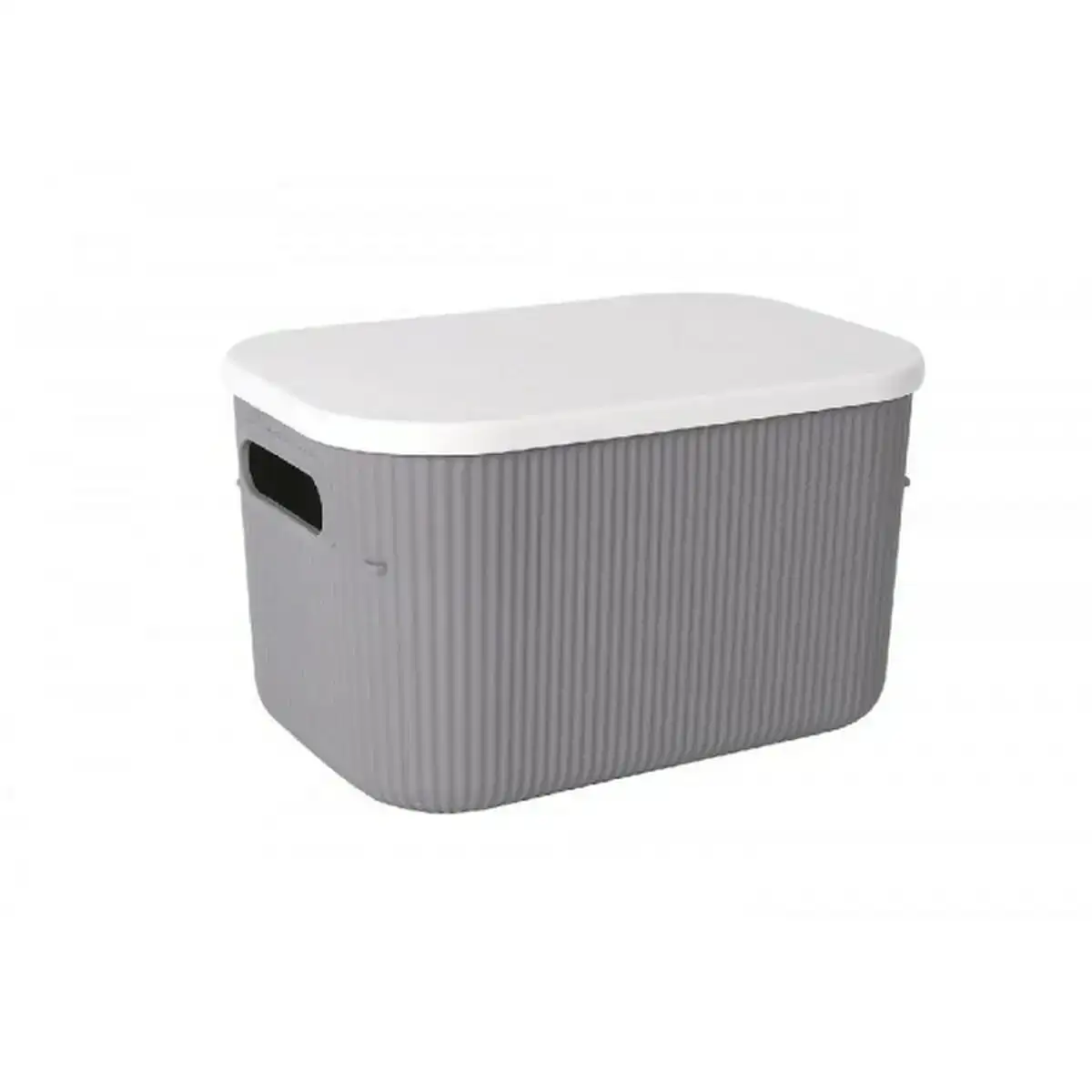 Boites de rangement lova gris plastique avec couvercle 26 9 x 18 7 x 16 2 cm_2664. Bienvenue sur DIAYTAR COTE D'IVOIRE - Où Chaque Détail compte. Plongez dans notre univers et choisissez des produits qui ajoutent de l'éclat et de la joie à votre quotidien.