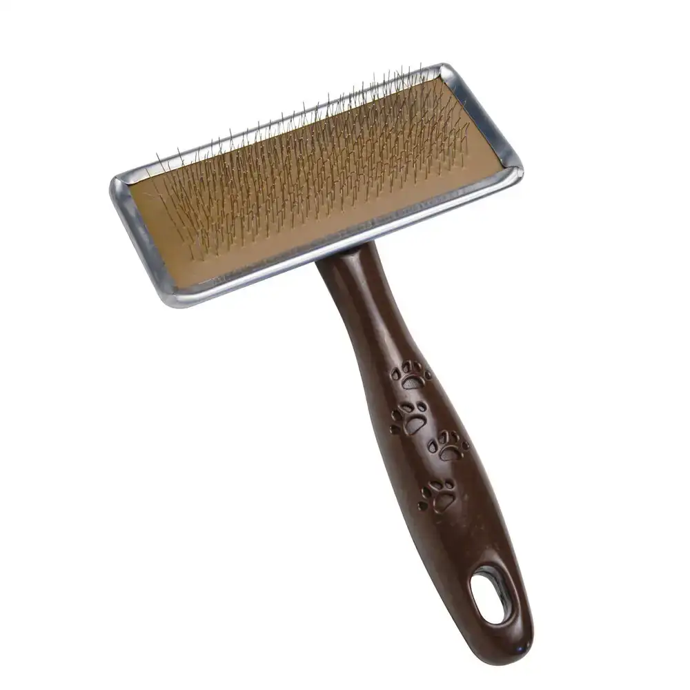 Brosse gloria plastique_6174. DIAYTAR COTE D'IVOIRE - Votre Boutique en Ligne, Votre Choix Illimité. Parcourez nos rayons et découvrez des produits qui vous inspirent, de la mode à la maison et bien plus.