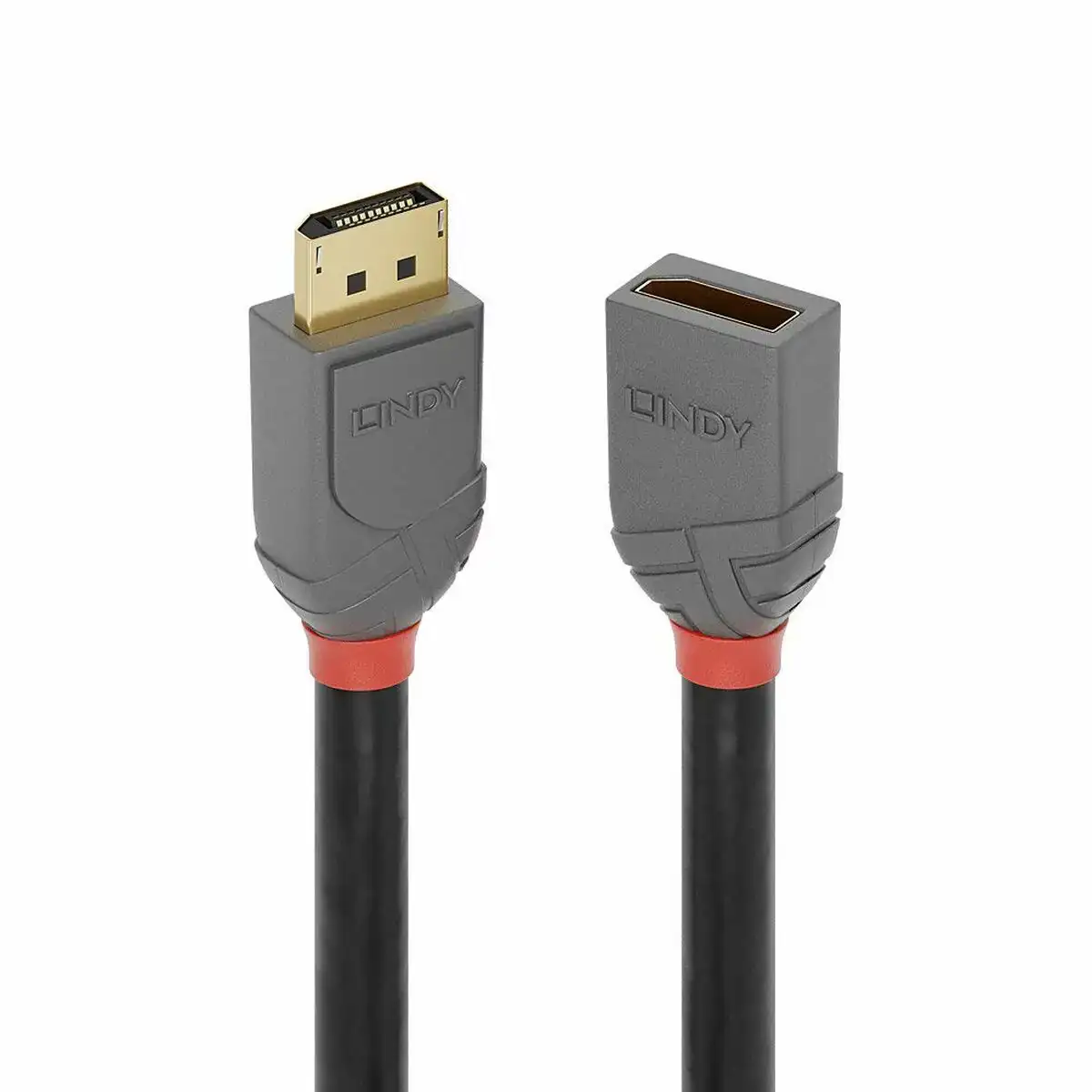 Cable displayport lindy 36497 2 m noir_3334. DIAYTAR COTE D'IVOIRE - Votre Destination de Shopping Authentique au Côte d'Ivoire. Plongez dans notre boutique en ligne pour découvrir des produits qui célèbrent la riche culture et l'artisanat du pays.