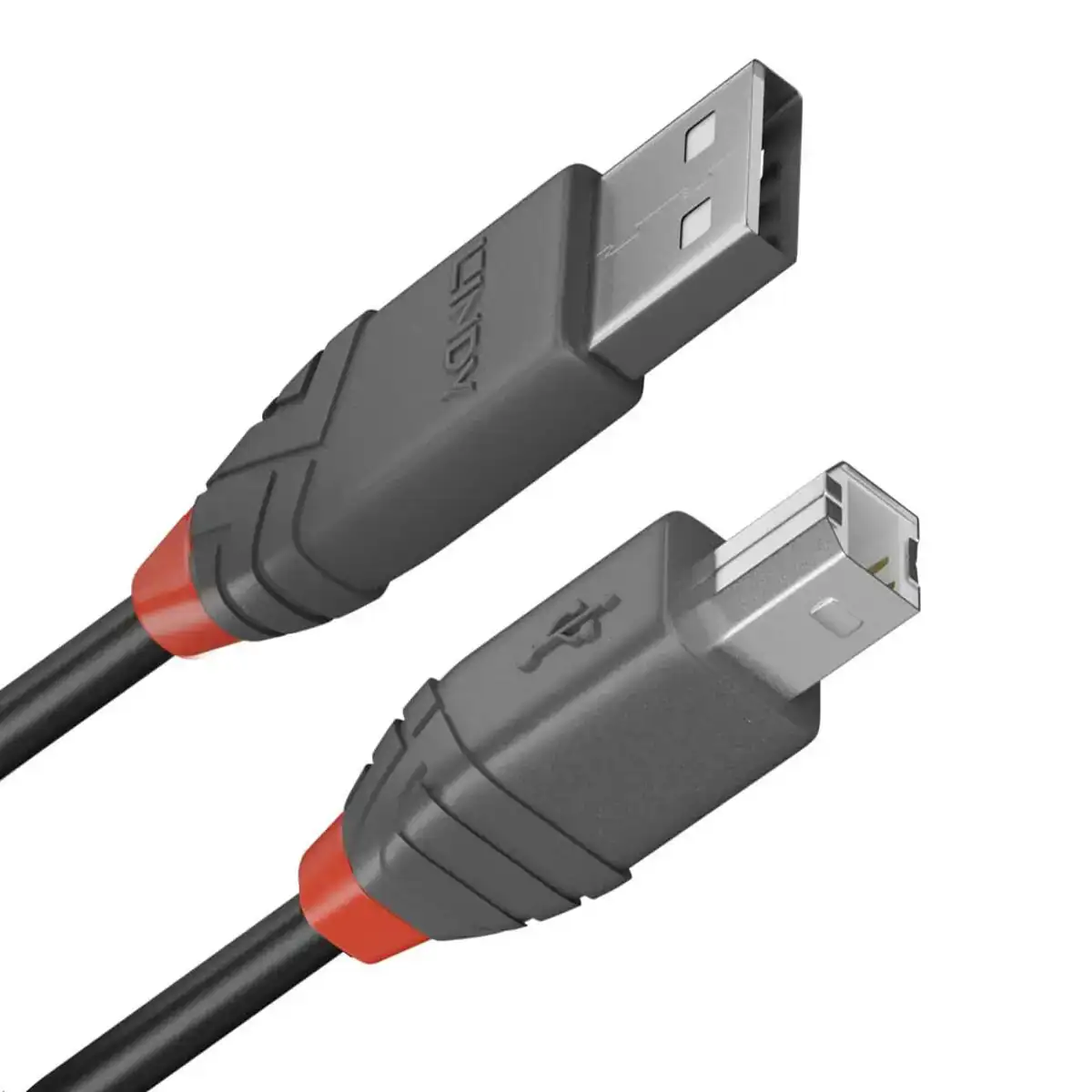 Cable usb a vers usb b lindy 36670 20 cm noir_7342. Entrez dans l'Univers de DIAYTAR COTE D'IVOIRE - Où l'Élégance et la Variété se Rencontrent. Parcourez notre catalogue pour dénicher des articles qui ajoutent une touche d'élégance à votre vie.