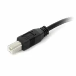 Cable usb a vers usb b startech usb2hab30ac noir_3303. Entrez dans l'Univers de DIAYTAR COTE D'IVOIRE - Où l'Innovation Rencontre la Tradition. Explorez notre sélection de produits modernes et traditionnels qui incarnent l'esprit dynamique du Côte d'Ivoire.