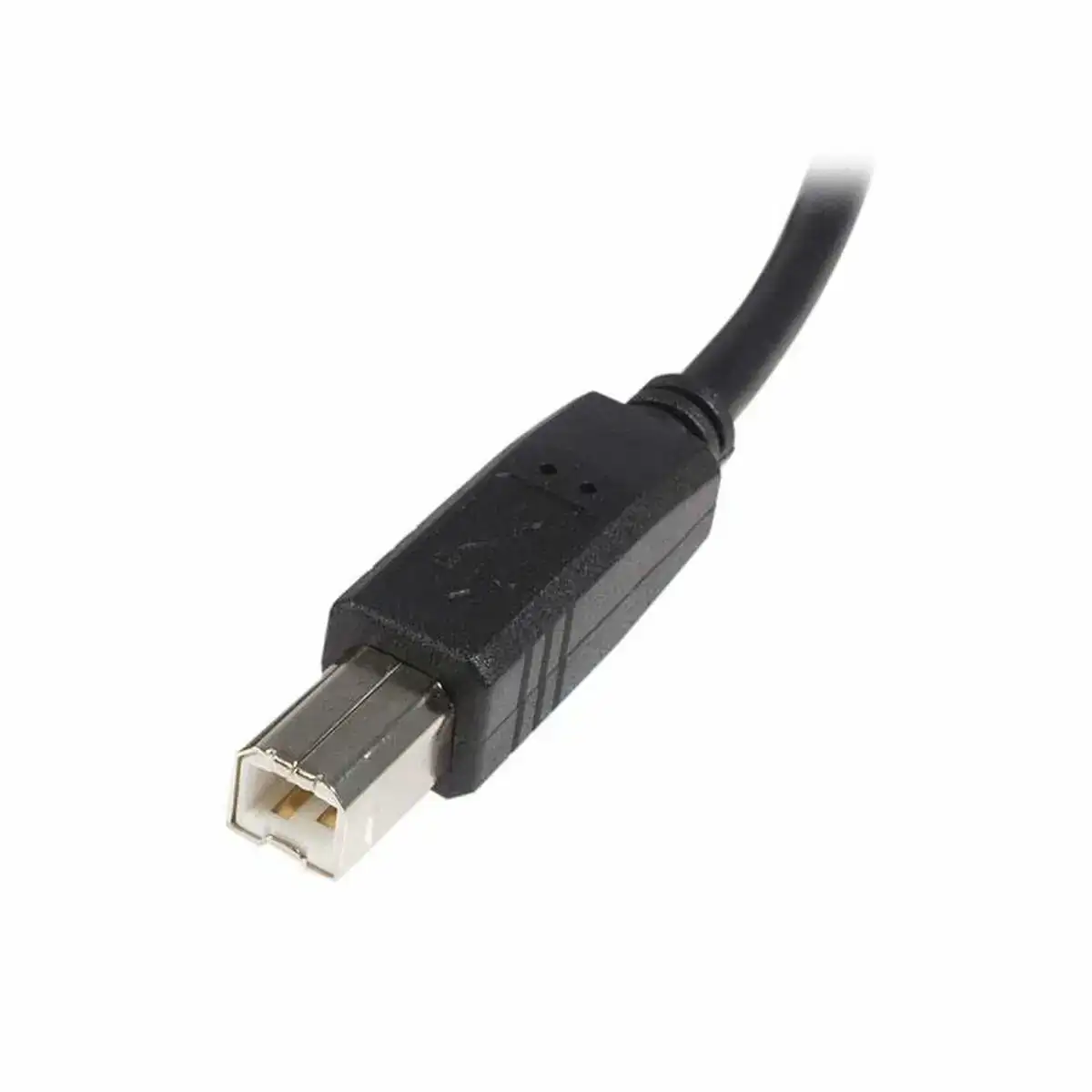 Cable usb a vers usb b startech usb2hab3m noir_1416. DIAYTAR COTE D'IVOIRE - Votre Oasis de Shopping en Ligne. Explorez notre boutique et découvrez des produits qui ajoutent une touche de magie à votre quotidien.