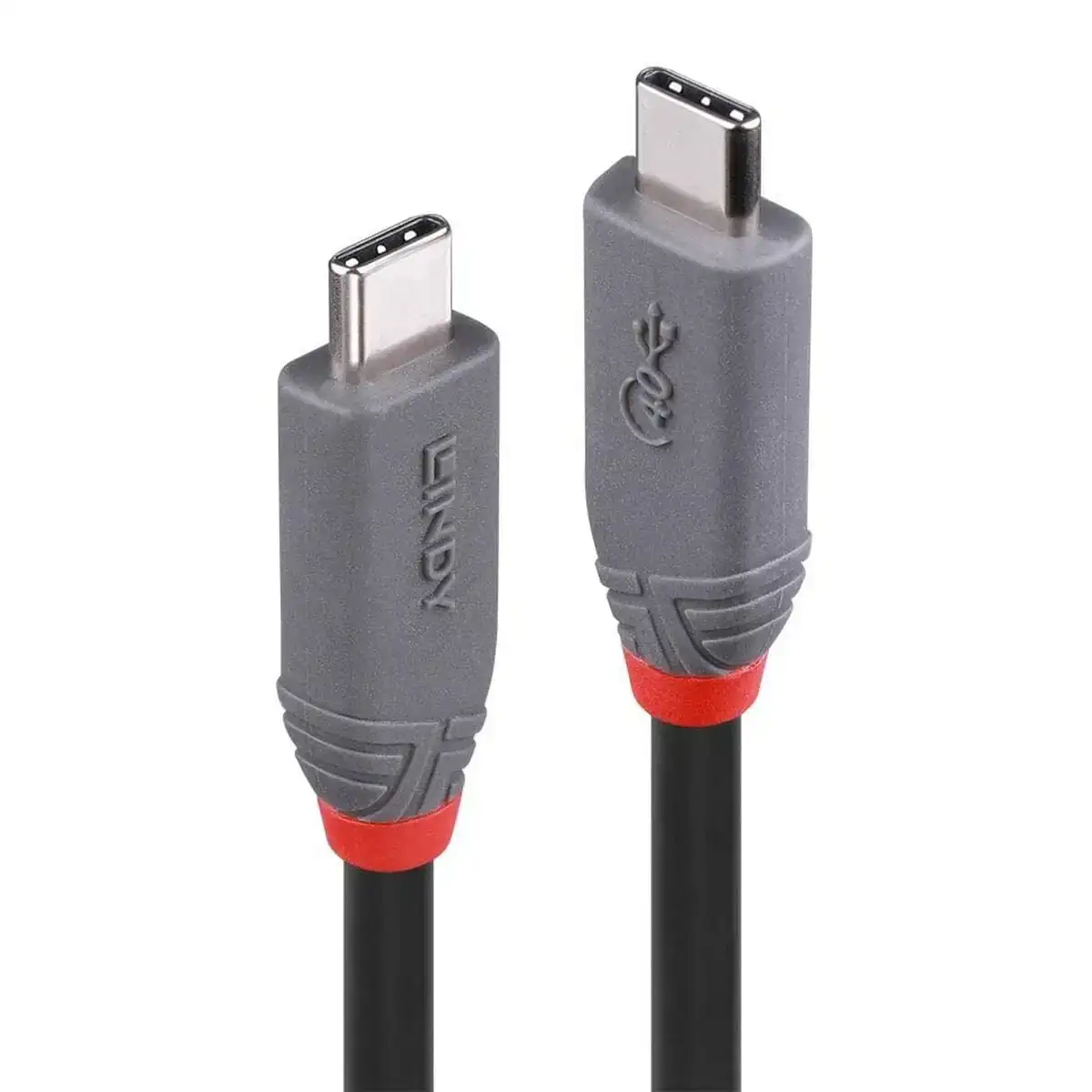 Cable usb c lindy 36947 80 cm_5375. DIAYTAR COTE D'IVOIRE - Votre Destination pour un Shopping Unique. Parcourez notre catalogue et trouvez des articles qui expriment votre singularité et votre style.