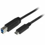 Cable usb c vers usb b startech usb315cb2m 2 m noir_5814. Bienvenue sur DIAYTAR COTE D'IVOIRE - Où Chaque Produit a son Histoire. Découvrez notre sélection unique et choisissez des articles qui racontent la richesse culturelle et artistique du Côte d'Ivoire.
