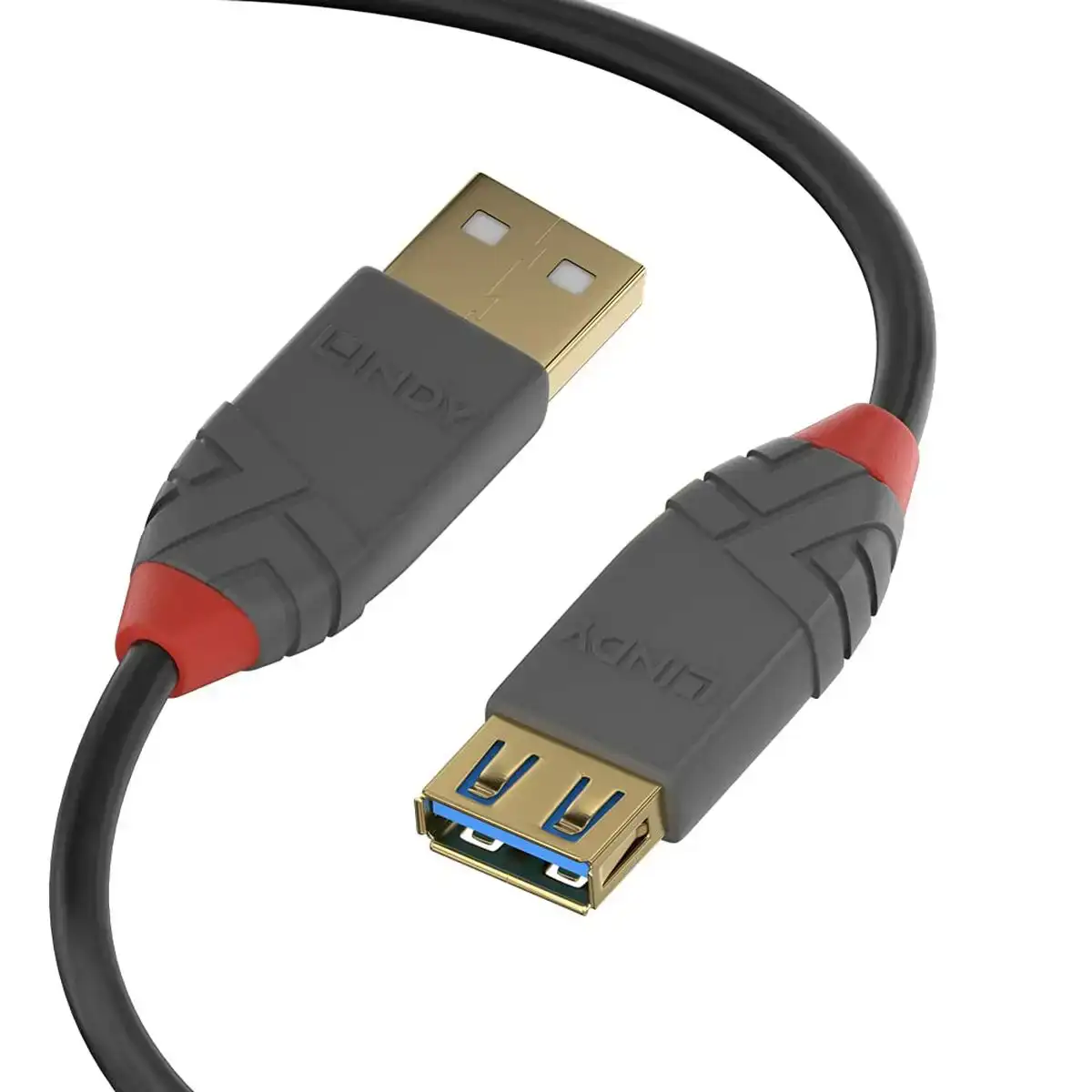 Cable usb lindy 36762 2 m noir_5923. DIAYTAR COTE D'IVOIRE - Votre Passage vers l'Éclat et la Beauté. Explorez notre boutique en ligne et trouvez des produits qui subliment votre apparence et votre espace.