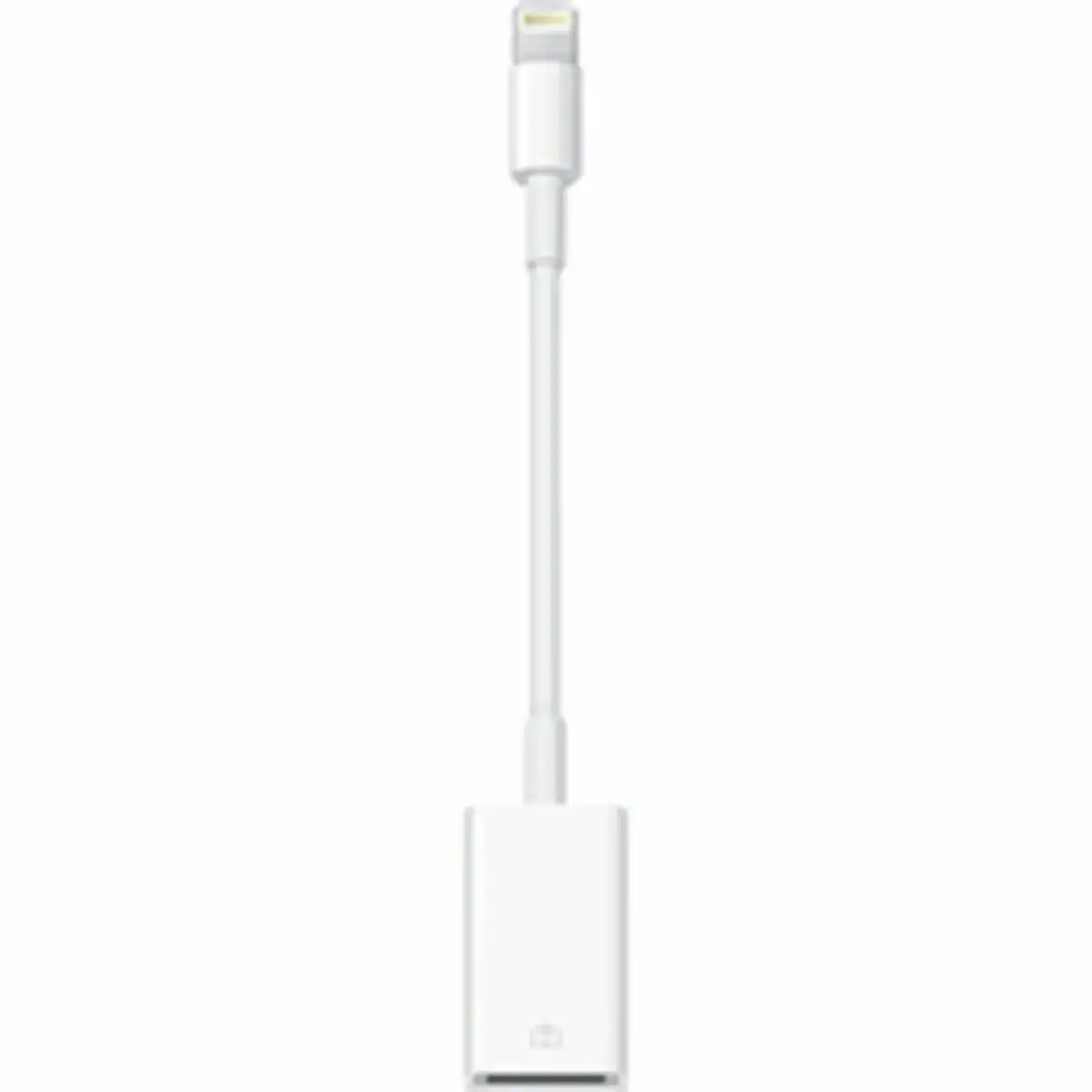 Cable usb vers lightning apple md821zm a_6084. Bienvenue sur DIAYTAR COTE D'IVOIRE - Votre Destination Shopping à la Côte d'Ivoireaise. Explorez notre boutique en ligne et découvrez une gamme variée de produits qui capturent l'esprit du Côte d'Ivoire.