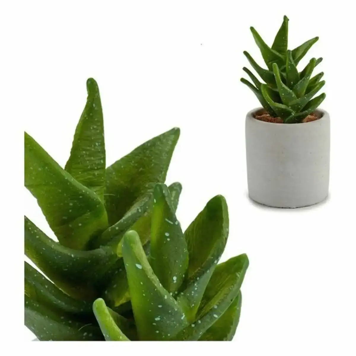Cactus big s3600890_5284. DIAYTAR COTE D'IVOIRE - Votre Paradis Shopping au Cœur du Côte d'Ivoire. Explorez notre boutique en ligne et découvrez des produits conçus pour enchanter chaque aspect de votre vie.