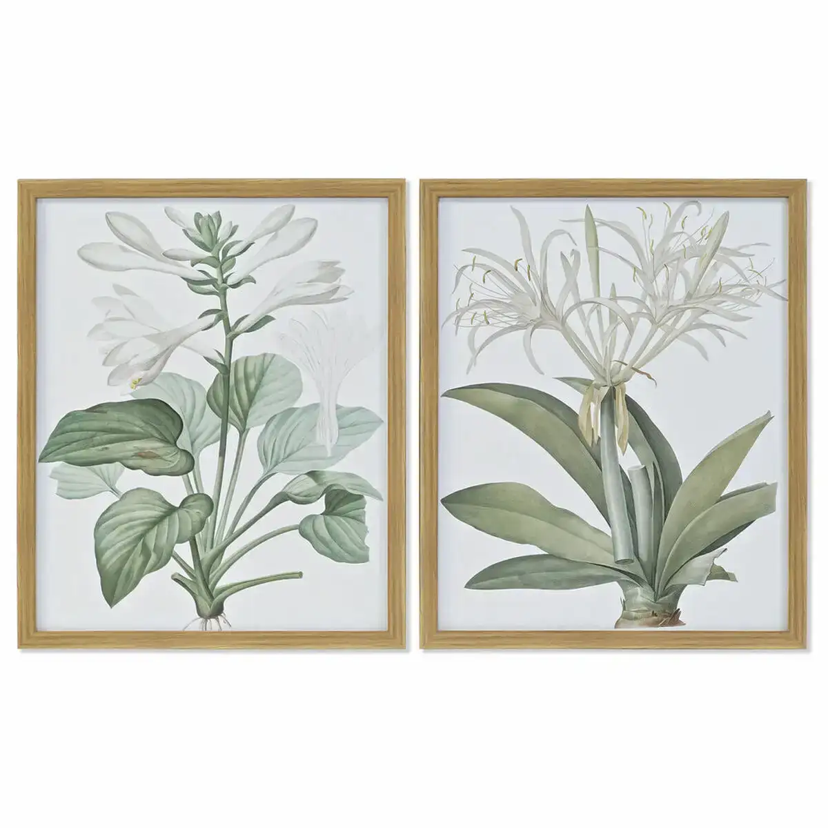 Cadre dkd home decor 43 x 3 x 53 cm plantes botaniques 2 unites _1505. DIAYTAR COTE D'IVOIRE - Où Chaque Détail Compte. Parcourez nos produits soigneusement sélectionnés et choisissez des articles qui correspondent à votre style et à vos valeurs.