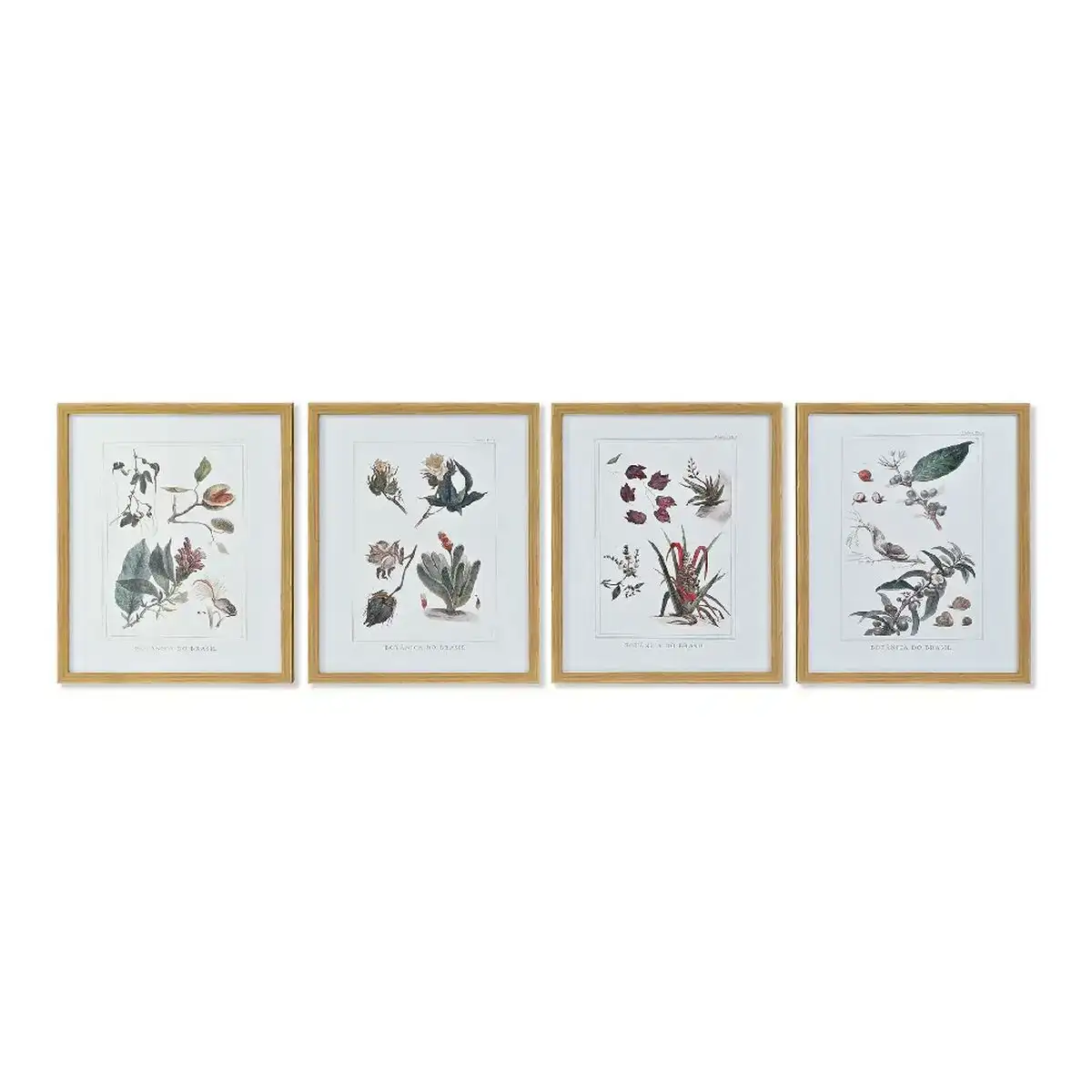 Cadre dkd home decor 43 x 3 x 53 cm plantes botaniques 4 pieces _6549. DIAYTAR COTE D'IVOIRE - L'Art de Magasiner sans Frontières. Parcourez notre vaste sélection d'articles et trouvez tout ce dont vous avez besoin, du chic à l'authentique, du moderne au traditionnel.