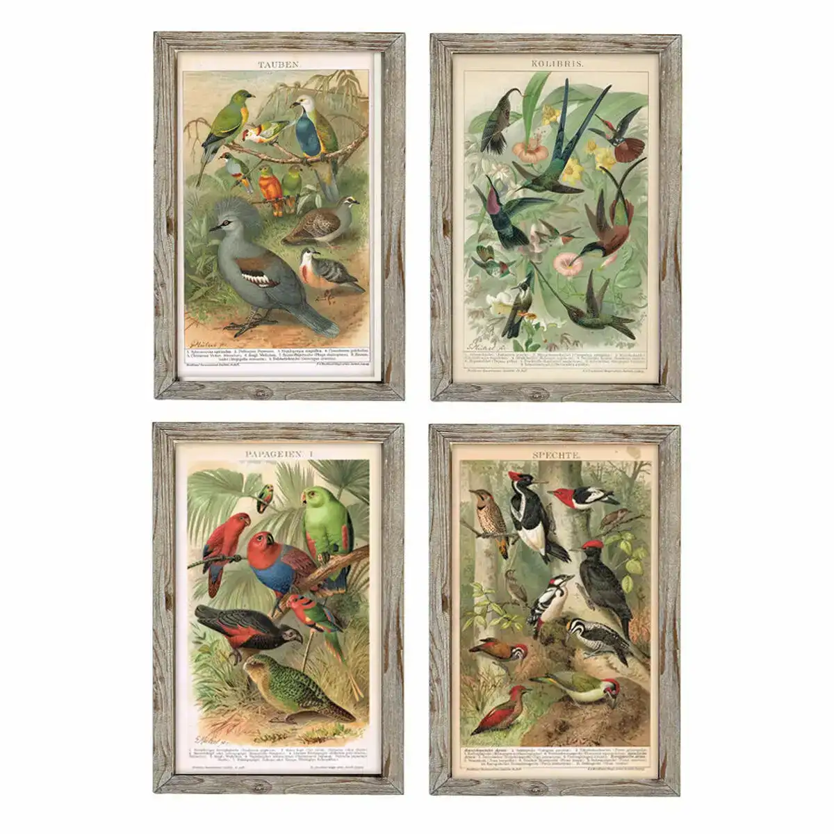 Cadre dkd home decor 45 x 2 x 65 cm oiseaux cottage 4 pieces _8729. DIAYTAR COTE D'IVOIRE - Votre Source de Découvertes Shopping. Naviguez à travers nos catégories et découvrez des articles qui vous surprendront et vous séduiront.