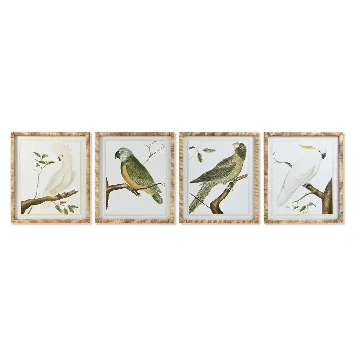 Cadre dkd home decor 50 x 2 5 x 60 cm tropical oiseaux 4 pieces _6976. Bienvenue chez DIAYTAR COTE D'IVOIRE - Où le Shopping Devient une Aventure. Découvrez notre collection diversifiée et explorez des produits qui reflètent la diversité du Côte d'Ivoire.