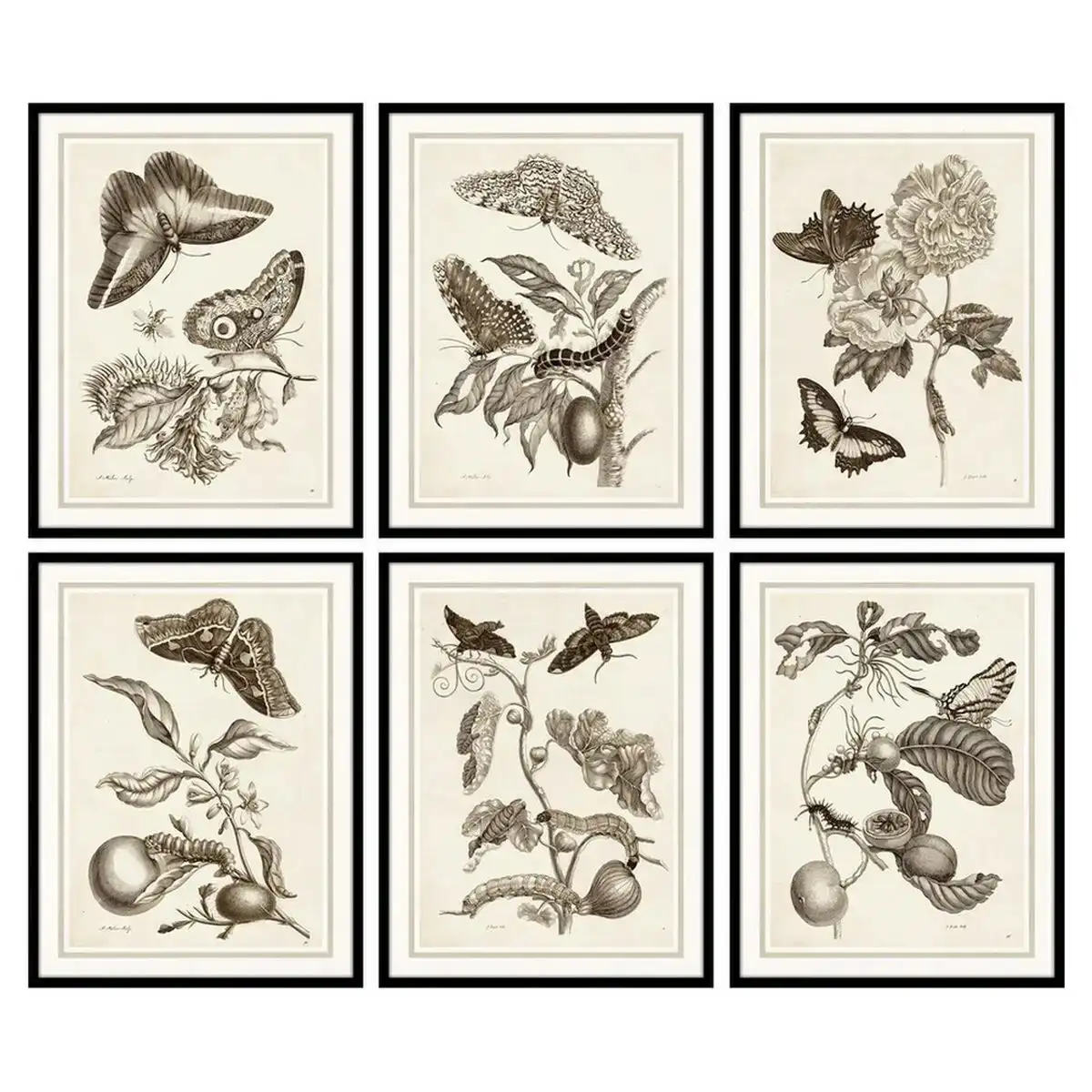 Cadre dkd home decor 50 x 2 5 x 65 cm fleurs moderne 6 pieces _6943. DIAYTAR COTE D'IVOIRE - Là où Chaque Produit Évoque une Émotion. Parcourez notre catalogue et choisissez des articles qui vous touchent et qui enrichissent votre expérience.