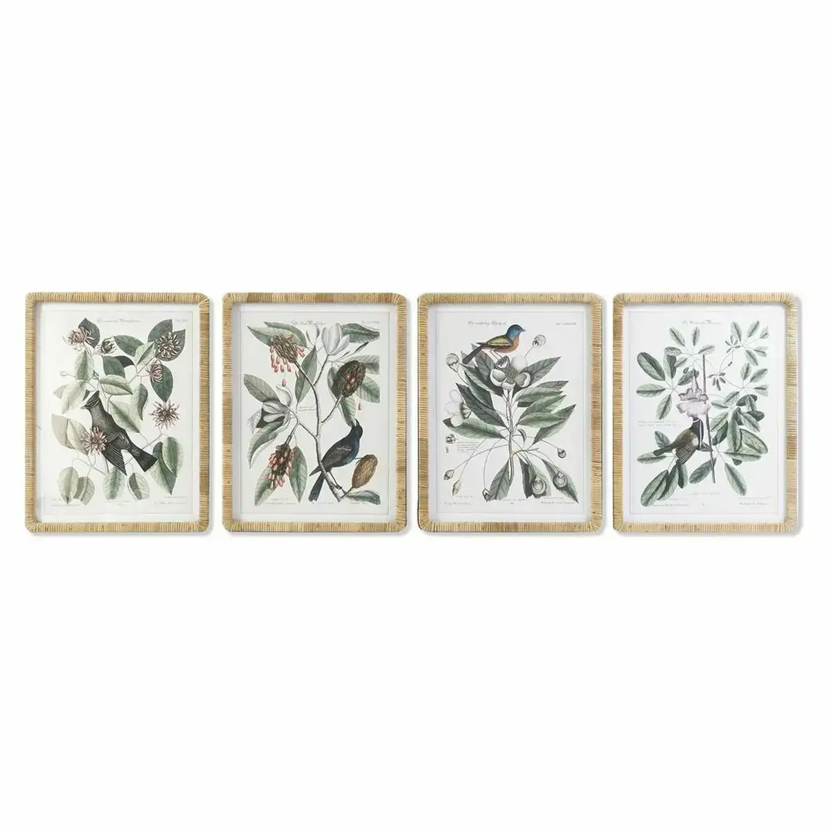Cadre dkd home decor 50 x 2 5 x 65 cm shabby chic plantes botaniques 4 pieces _8842. DIAYTAR COTE D'IVOIRE - Votre Paradis Shopping au Cœur du Côte d'Ivoire. Explorez notre boutique en ligne et découvrez des produits conçus pour enchanter chaque aspect de votre vie.
