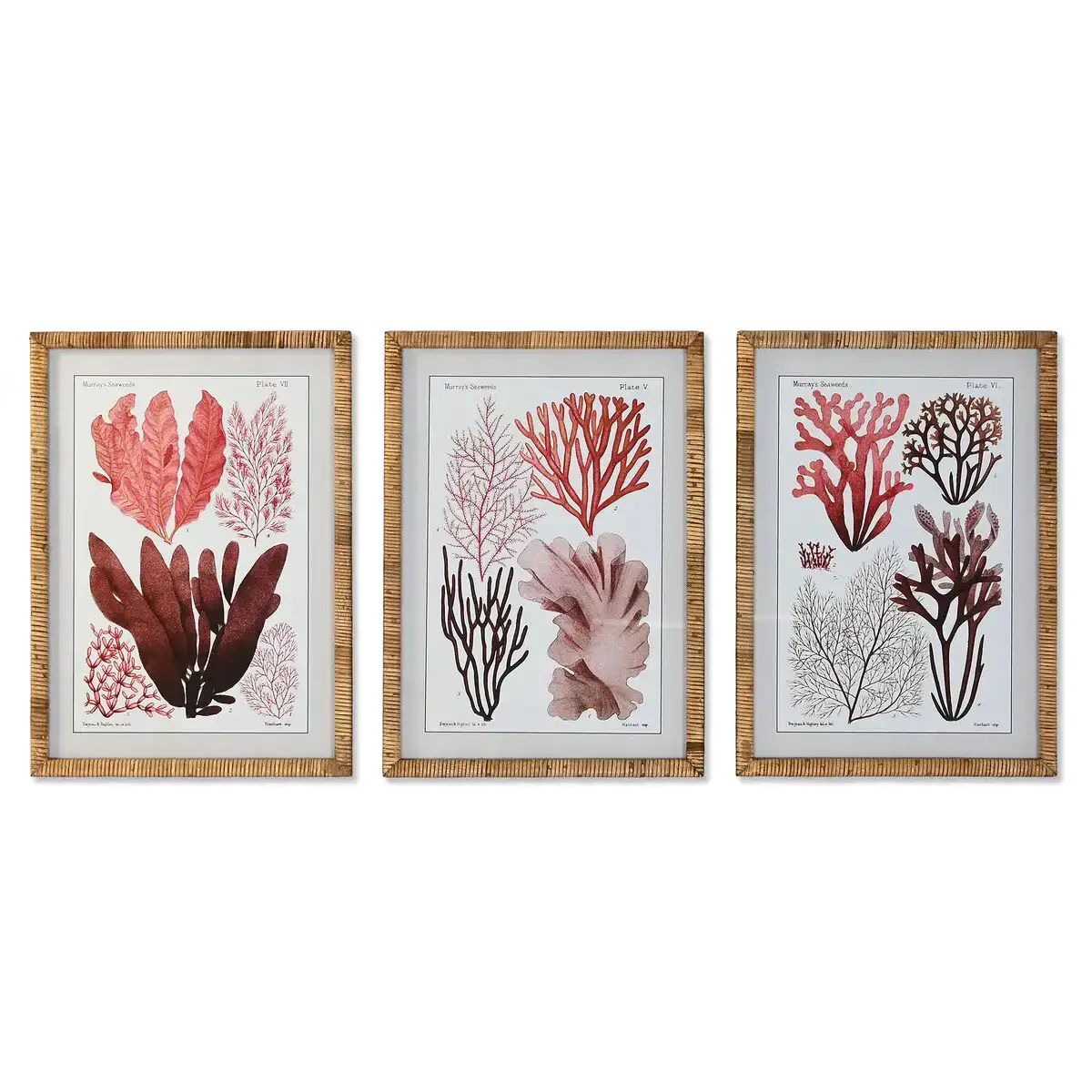Cadre dkd home decor 50 x 2 5 x 70 cm 50 x 2 5 x 70 cm mediterraneen 3 pieces _7464. DIAYTAR COTE D'IVOIRE - Où Chaque Produit a sa Place. Parcourez notre catalogue et choisissez des articles qui s'intègrent parfaitement à votre style et à votre espace.