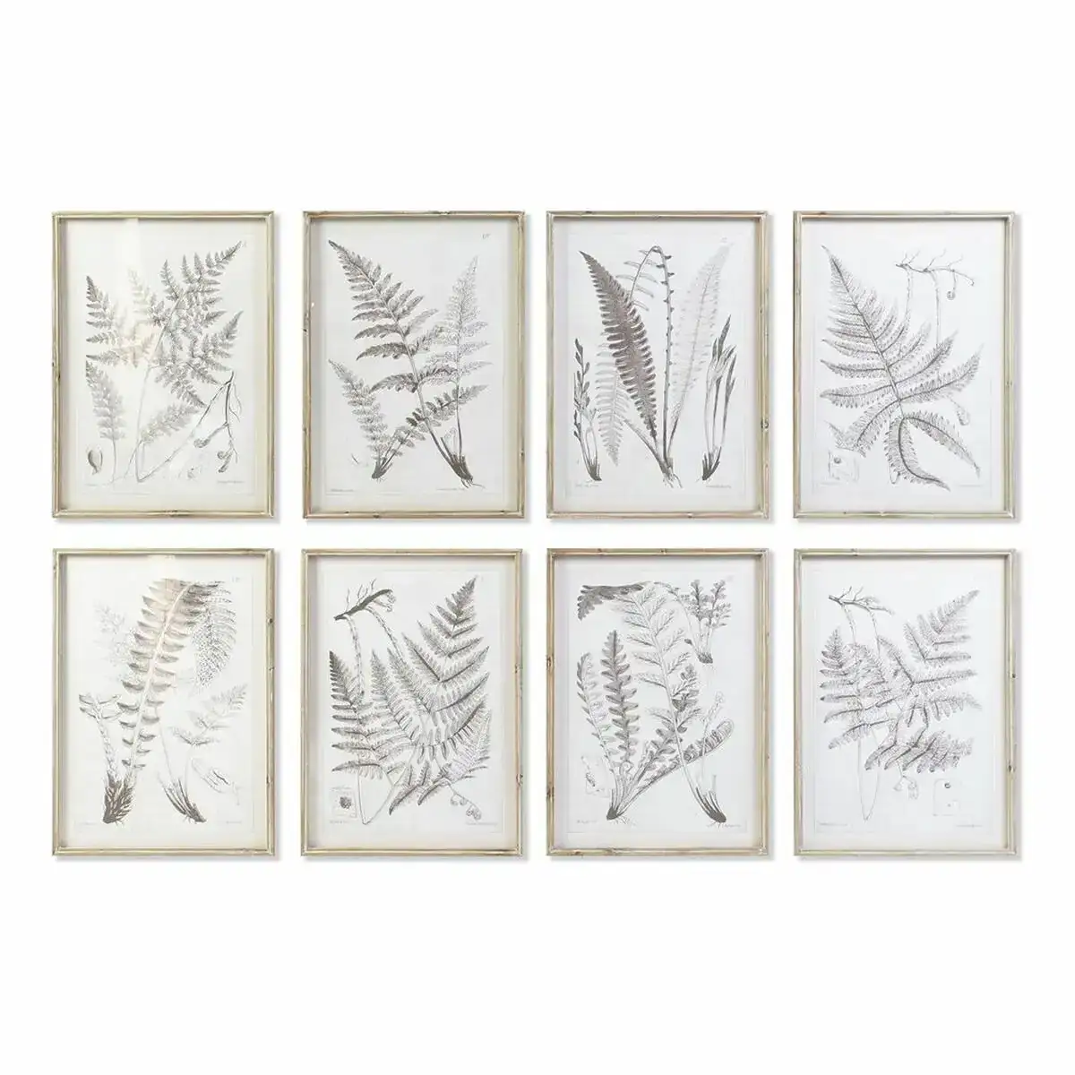 Cadre dkd home decor 50 x 2 5 x 70 cm moderne plantes botaniques 8 pieces _1713. Bienvenue sur DIAYTAR COTE D'IVOIRE - Où le Shopping est une Affaire Personnelle. Découvrez notre sélection et choisissez des produits qui reflètent votre unicité et votre individualité.