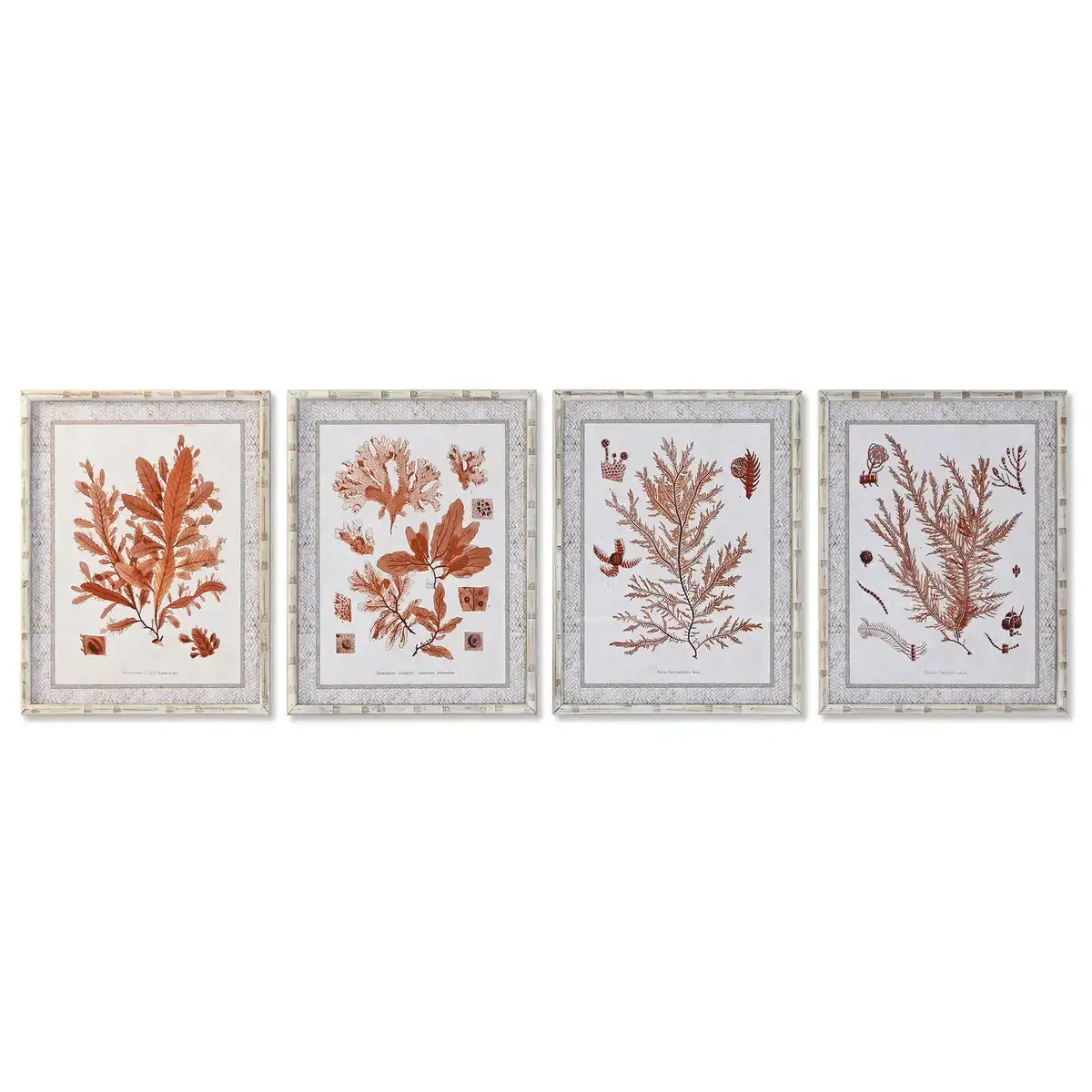 Cadre dkd home decor 50 x 2 8 x 65 cm corail 4 pieces _2864. Bienvenue chez DIAYTAR COTE D'IVOIRE - Où Chaque Produit a son Histoire. Découvrez notre sélection unique et trouvez des articles qui racontent la richesse culturelle et artistique du Côte d'Ivoire.