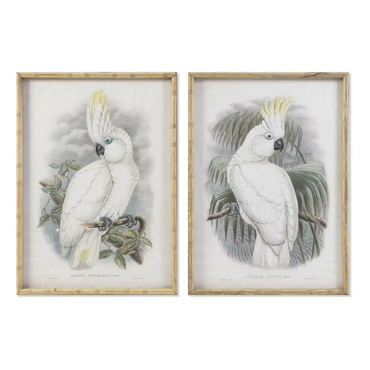 Cadre dkd home decor 50 x 2 8 x 70 cm colonial perroquet 2 unites _1503. DIAYTAR COTE D'IVOIRE - Où Votre Shopping Prend Vie. Explorez notre boutique en ligne pour trouver des articles qui vous ressemblent et qui ajoutent de l'éclat à votre quotidien.