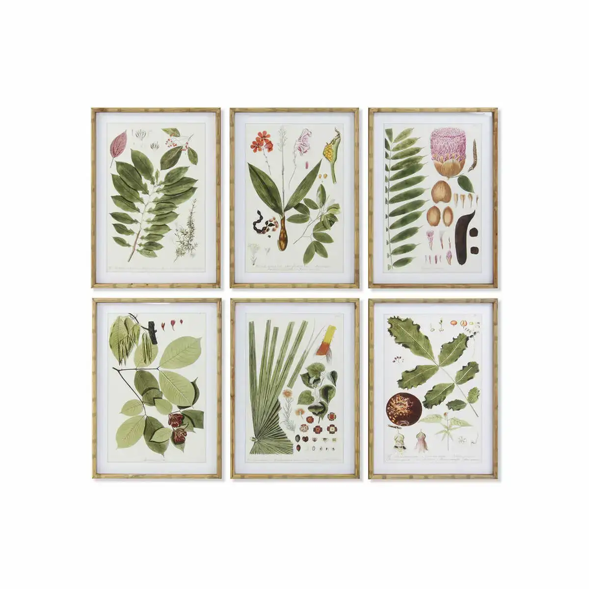 Cadre dkd home decor 50 x 2 8 x 70 cm moderne plantes botaniques 6 pieces _4234. DIAYTAR COTE D'IVOIRE - Votre Portail Vers l'Exclusivité. Explorez notre boutique en ligne pour découvrir des produits uniques et raffinés, conçus pour ceux qui recherchent l'excellence.