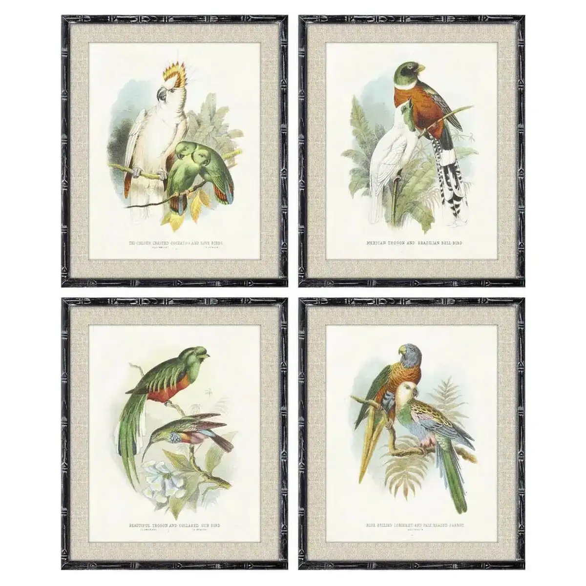 Cadre dkd home decor 50 x 2 x 60 cm oiseaux moderne 4 pieces _8151. DIAYTAR COTE D'IVOIRE - Votre Portail vers l'Extraordinaire. Parcourez nos collections et découvrez des produits qui vous emmènent au-delà de l'ordinaire, créant une expérience de shopping mémorable.