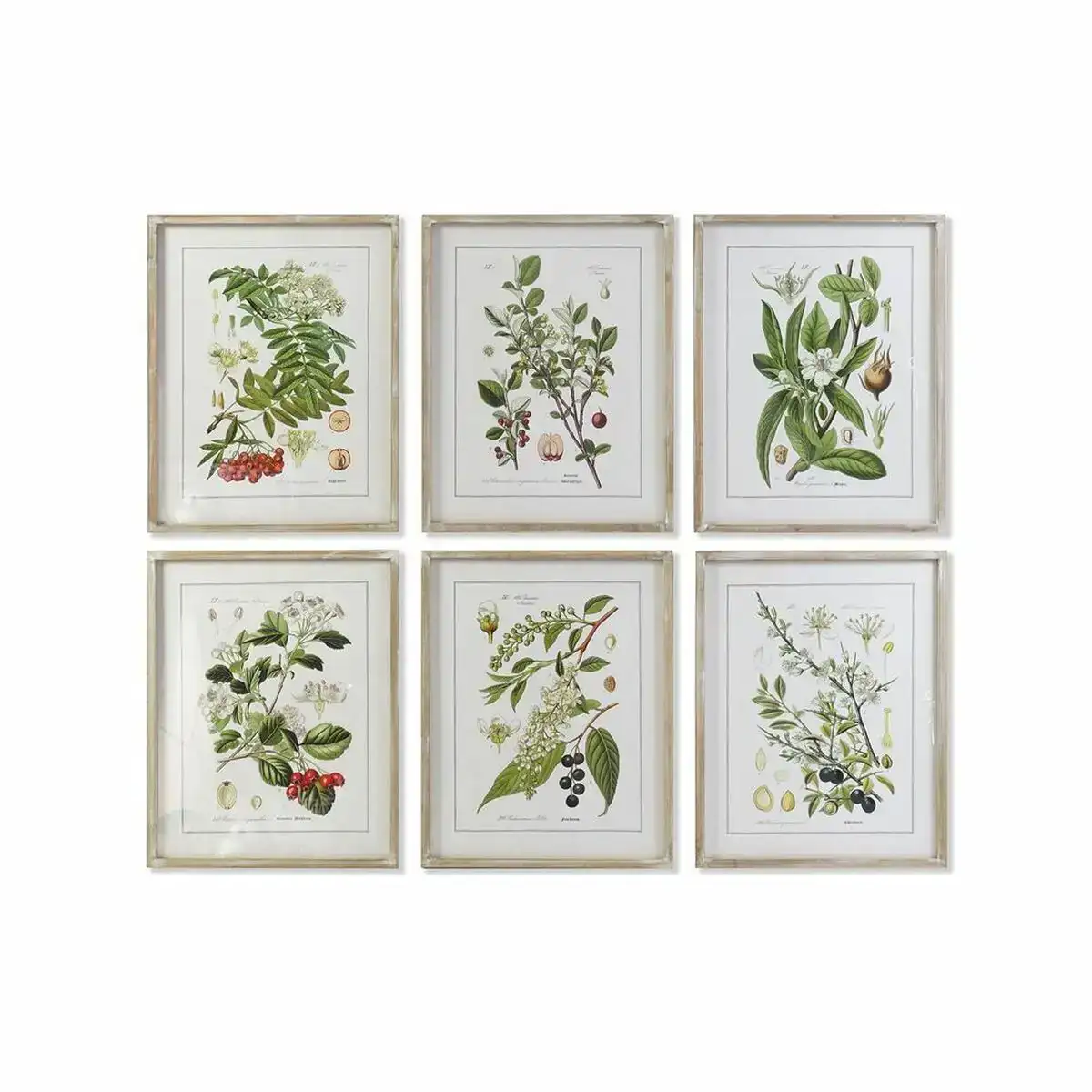 Cadre dkd home decor 55 x 2 x 70 cm shabby chic plantes botaniques 6 pieces _3741. DIAYTAR COTE D'IVOIRE - Votre Destination Shopping Inspirante. Explorez notre catalogue pour trouver des articles qui stimulent votre créativité et votre style de vie.