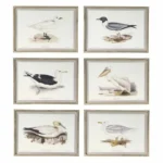 Cadre dkd home decor 70 x 2 5 x 50 cm traditionnel oiseaux 6 pieces _7010. Bienvenue chez DIAYTAR COTE D'IVOIRE - Où Chaque Détail Fait la Différence. Découvrez notre sélection méticuleuse et choisissez des articles qui répondent à vos exigences.