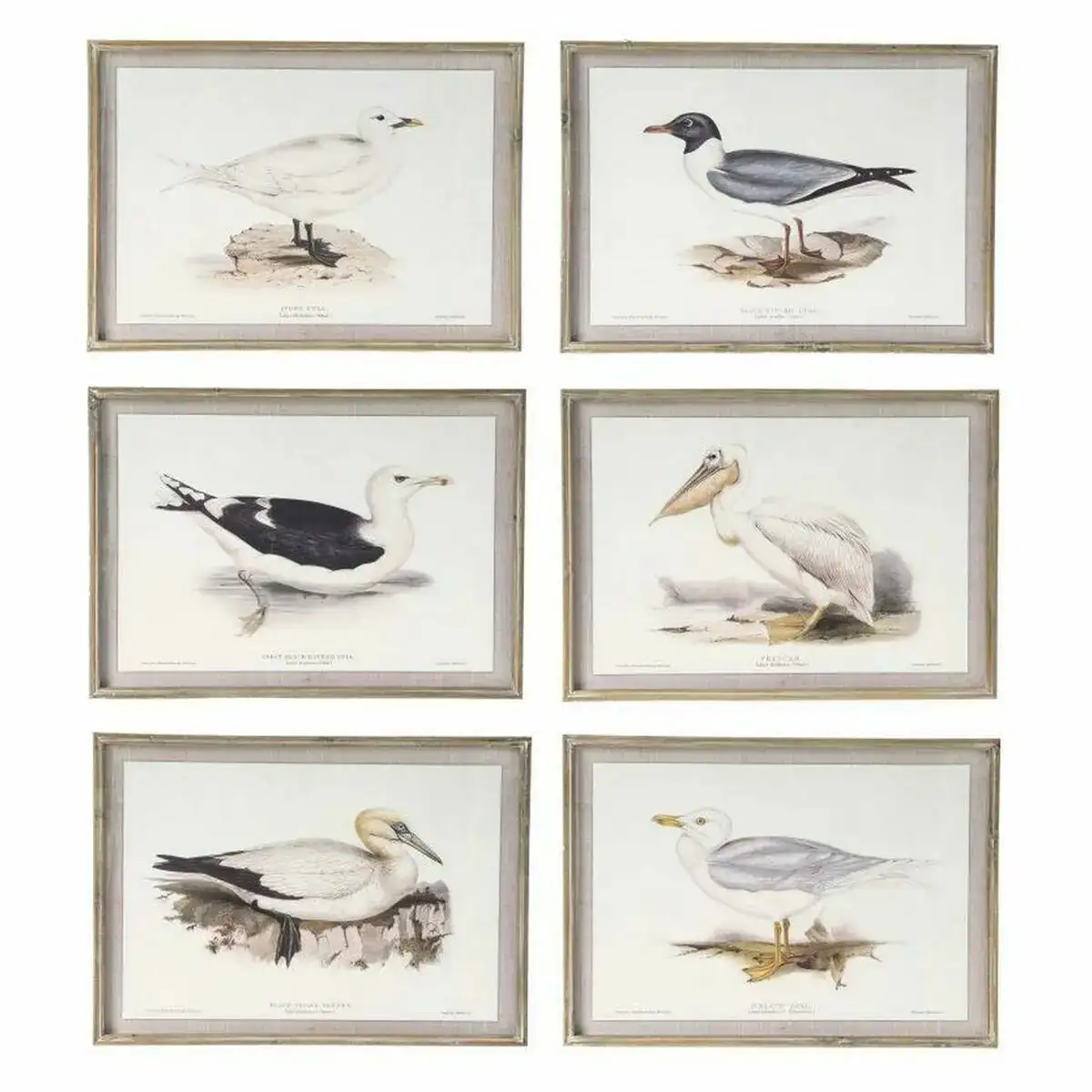 Cadre dkd home decor 70 x 2 5 x 50 cm traditionnel oiseaux 6 pieces _7010. Bienvenue chez DIAYTAR COTE D'IVOIRE - Où Chaque Détail Fait la Différence. Découvrez notre sélection méticuleuse et choisissez des articles qui répondent à vos exigences.
