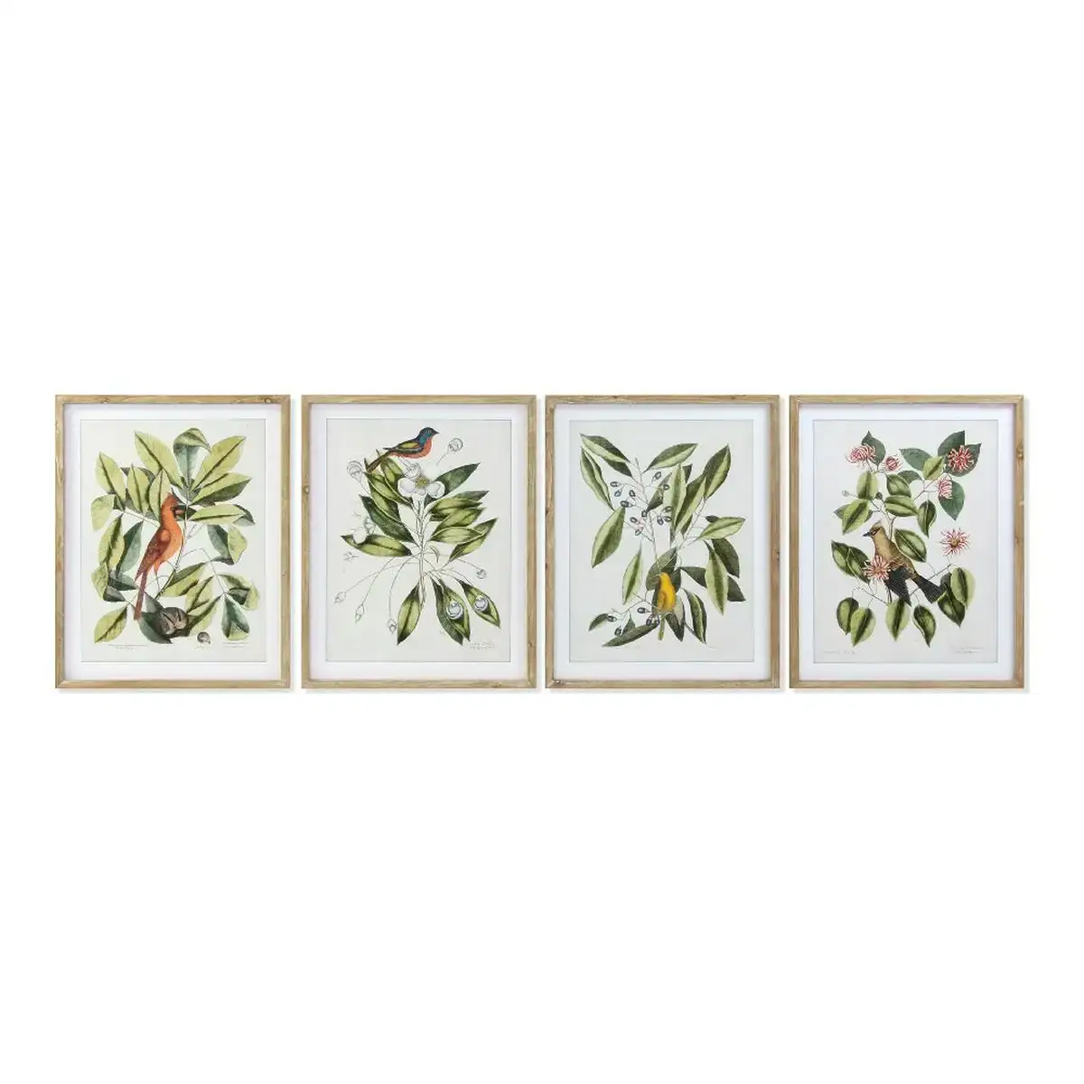 Cadre dkd home decor bird 55 x 2 5 x 70 cm tropical oiseaux 4 pieces _2763. DIAYTAR COTE D'IVOIRE - L'Art du Shopping Sublime. Naviguez à travers notre catalogue et choisissez parmi des produits qui ajoutent une touche raffinée à votre vie quotidienne.