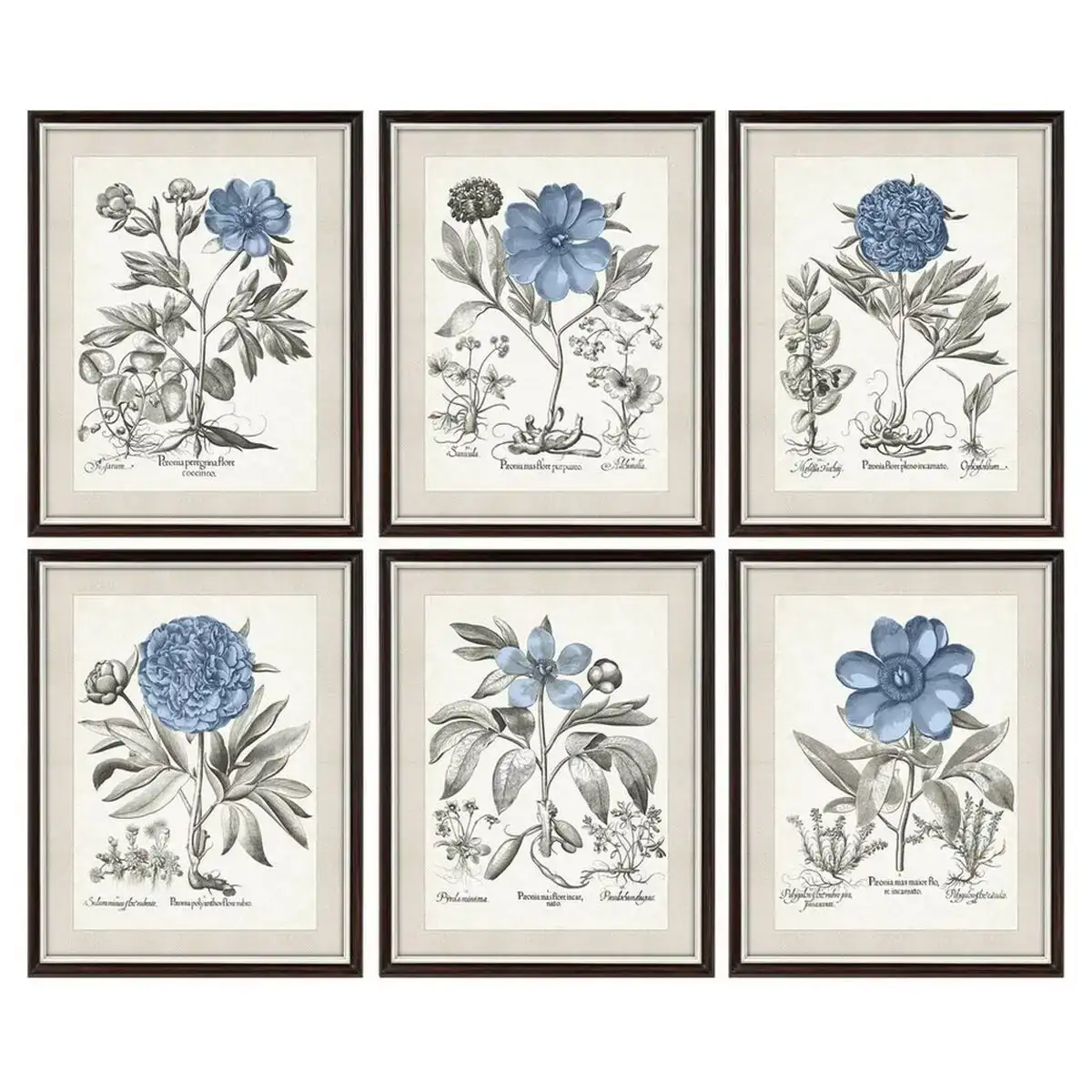 Cadre dkd home decor fleurs moderne 50 x 2 x 65 cm 6 pieces _7036. Bienvenue sur DIAYTAR COTE D'IVOIRE - Où le Shopping est une Affaire Personnelle. Découvrez notre sélection et choisissez des produits qui reflètent votre unicité et votre individualité.