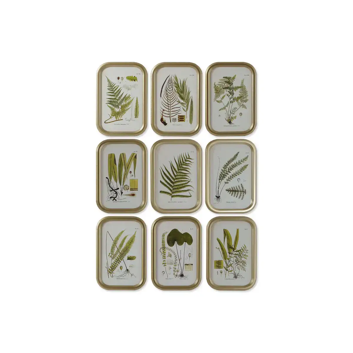 Cadre dkd home decor moderne plantes botaniques 30 x 2 x 45 cm 9 unites _5251. DIAYTAR COTE D'IVOIRE - Votre Portail vers l'Extraordinaire. Parcourez nos collections et découvrez des produits qui vous emmènent au-delà de l'ordinaire, créant une expérience de shopping mémorable.
