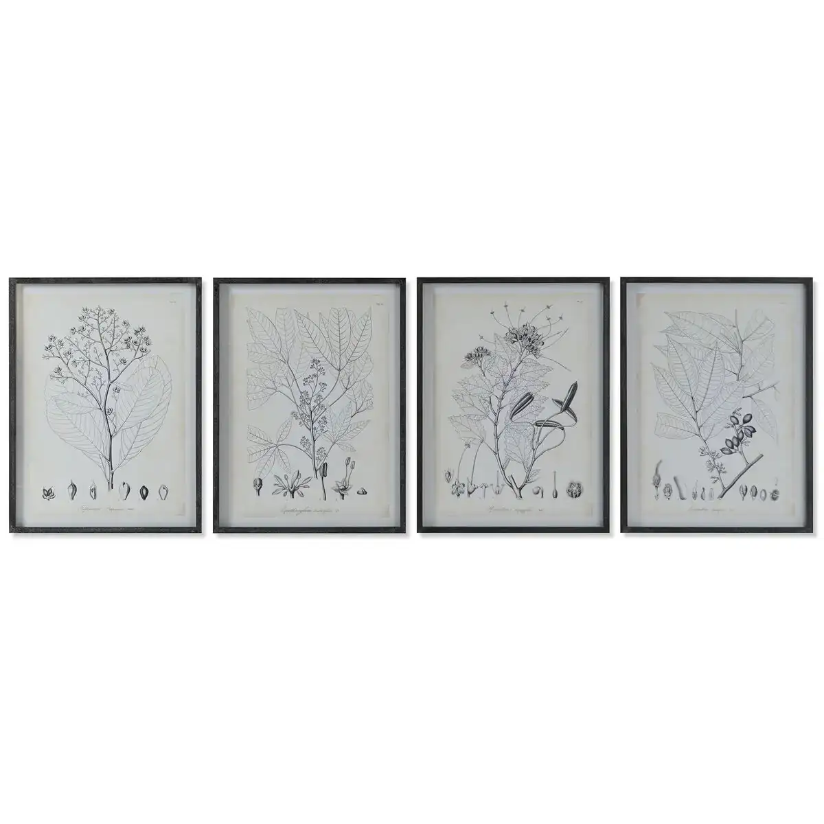 Cadre dkd home decor moderne plantes botaniques 45 x 2 5 x 60 cm 4 unites _7033. DIAYTAR COTE D'IVOIRE - L'Univers de l'Élégance Accessible. Plongez dans notre catalogue et choisissez des produits qui allient sophistication et accessibilité pour un shopping exquis.