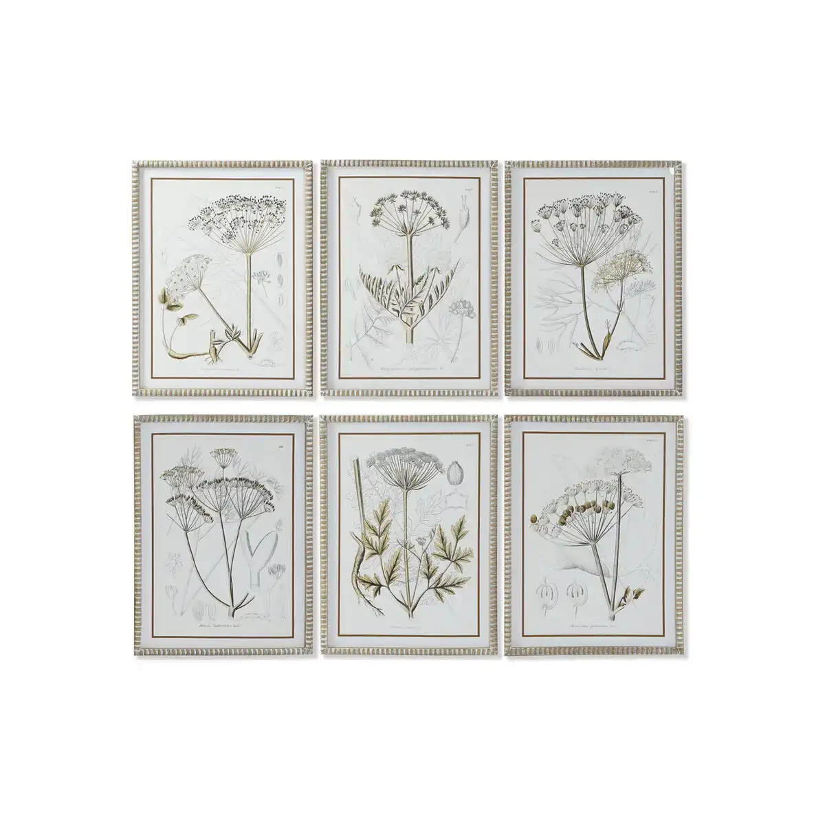 Cadre dkd home decor moderne plantes botaniques 45 x 2 5 x 60 cm 6 unites _1289. DIAYTAR COTE D'IVOIRE - Votre Source d'Inspiration Shopping. Parcourez nos rayons et trouvez des articles qui vous inspirent, que ce soit pour votre style, votre maison ou votre vie quotidienne.