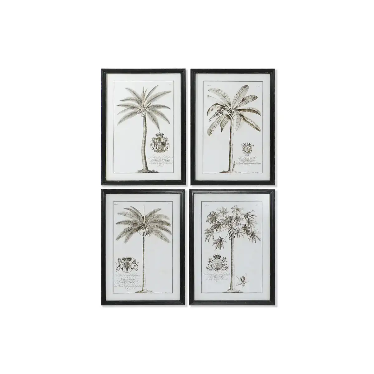 Cadre dkd home decor palmiers colonial 50 x 2 5 x 70 cm 4 unites _8612. Entrez dans l'Univers de DIAYTAR COTE D'IVOIRE - Où la Tradition S'unit à la Modernité. Explorez notre sélection pour trouver des produits qui allient héritage et innovation.