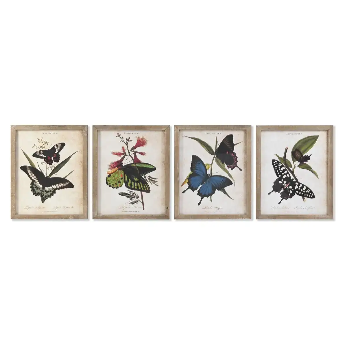 Cadre dkd home decor papillons 40 x 2 x 50 cm shabby chic 4 pieces _4900. Bienvenue sur DIAYTAR COTE D'IVOIRE - Où Choisir est un Voyage Passionnant. Plongez dans notre catalogue et trouvez des produits qui révèlent la diversité et la beauté du Côte d'Ivoire.