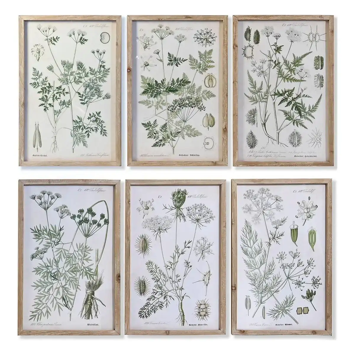 Cadre dkd home decor sapin verre 40 x 2 x 60 cm plantes botaniques 6 pieces _2618. DIAYTAR COTE D'IVOIRE - L'Art de Choisir, l'Art de Vivre. Explorez notre univers de produits soigneusement sélectionnés pour vous offrir une expérience shopping riche et gratifiante.