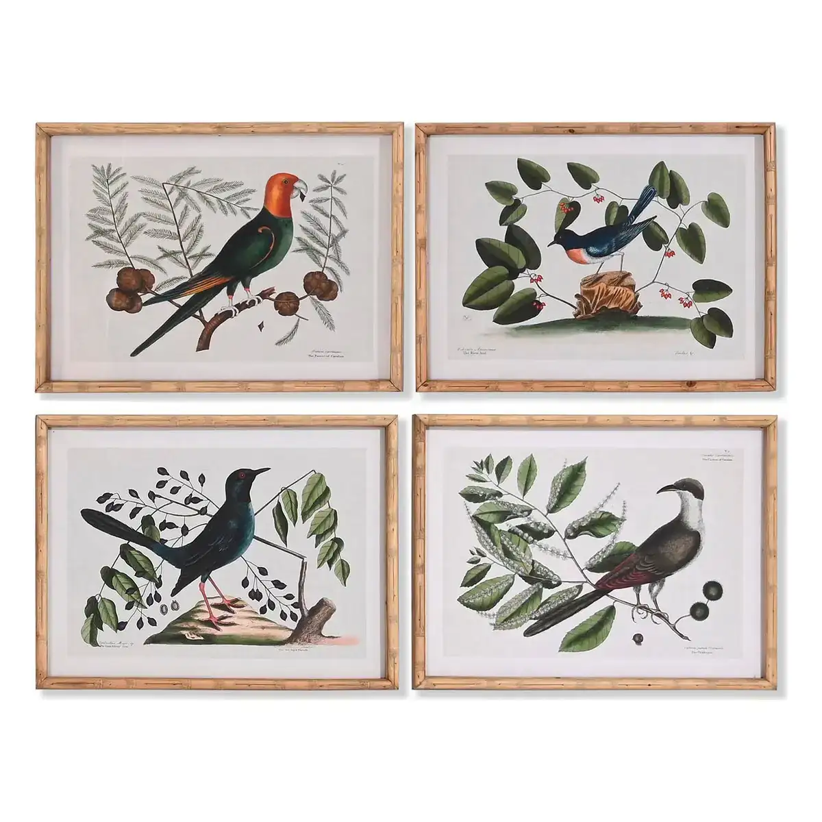 Cadre dkd home decor verre oiseaux 65 x 16 5 x 50 2 cm 4 pieces _3386. DIAYTAR COTE D'IVOIRE - Là où le Shopping devient une Fête des Sens. Plongez dans notre univers et choisissez des produits qui éveillent votre goût pour l'esthétique et l'authenticité.