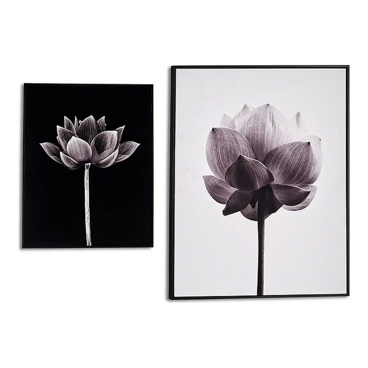 Cadre fleur contre plaque 2 x 51 x 41 cm _2091. DIAYTAR COTE D'IVOIRE - Là où Chaque Produit Est une Trouvaille. Parcourez notre catalogue diversifié et découvrez des articles qui enrichiront votre quotidien, du pratique à l'insolite.